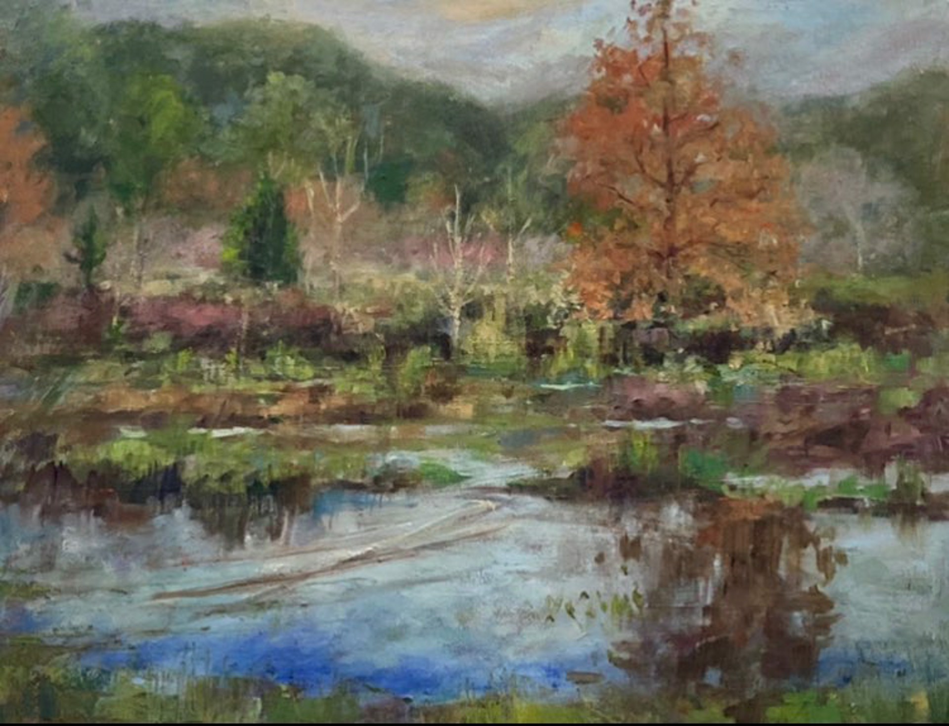 Alabama Swamp by Missy Patrick
