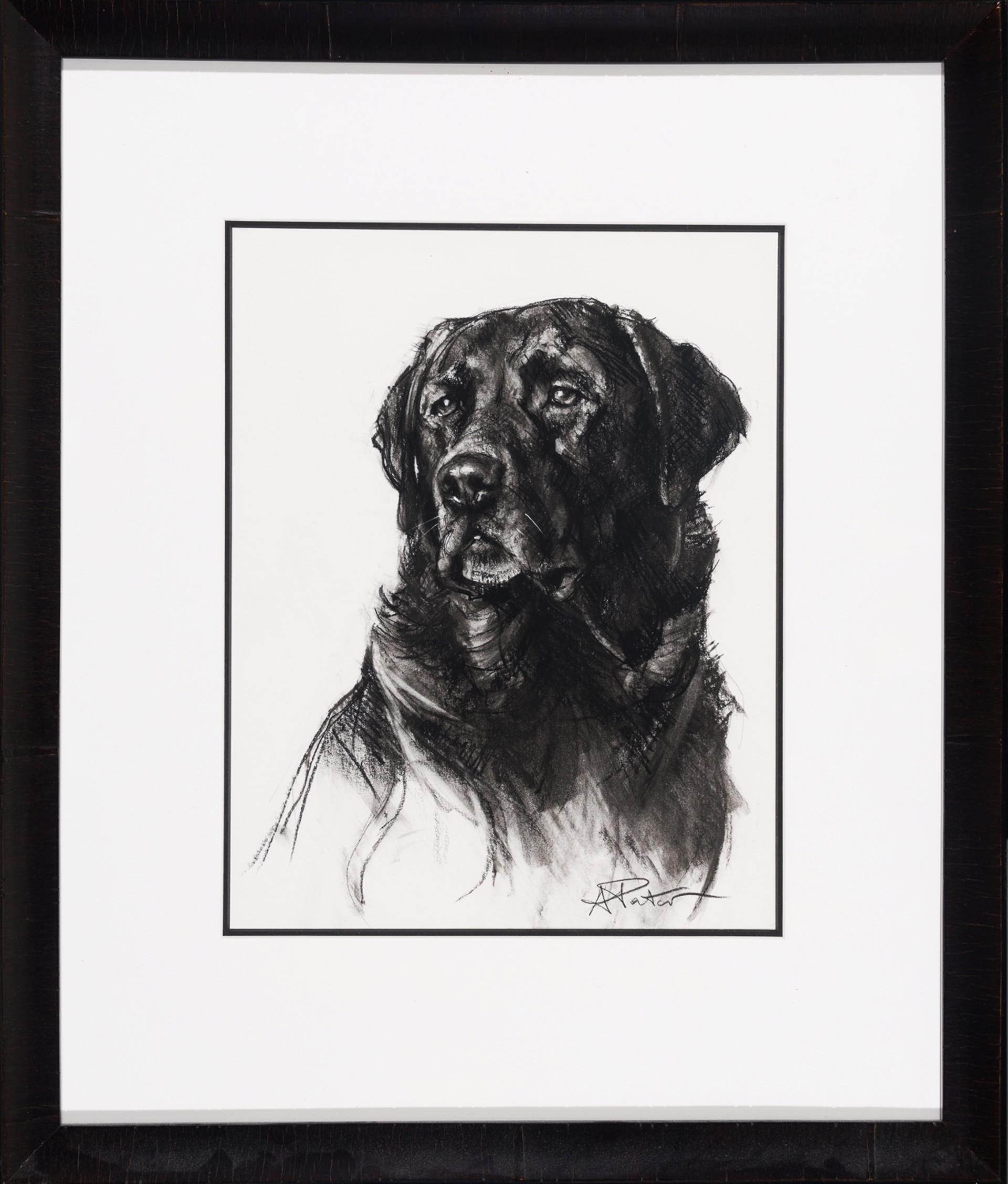 BLACK LAB STUDY by Andre Pater