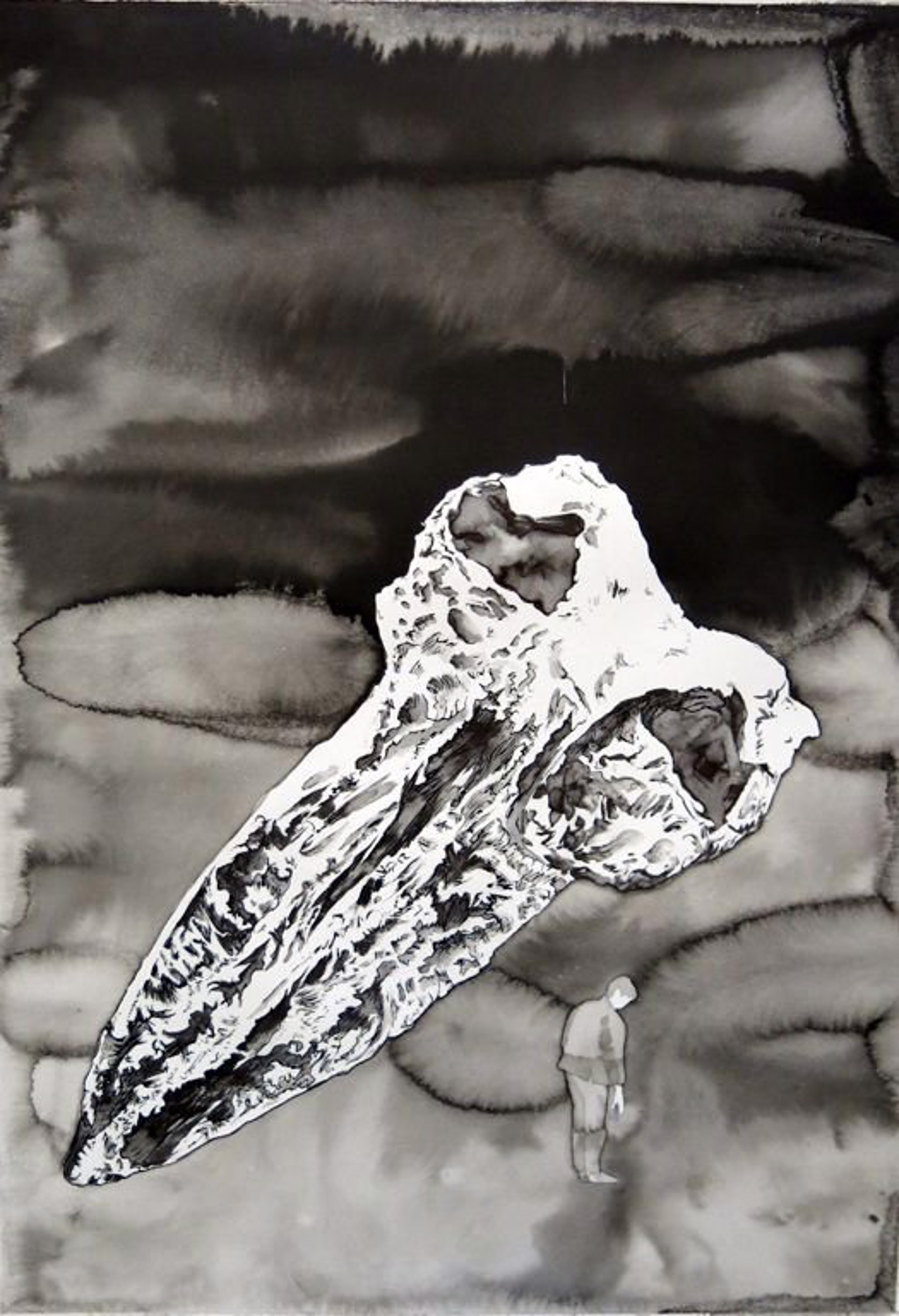 Blue Whale Skull by Jim Holyoak
