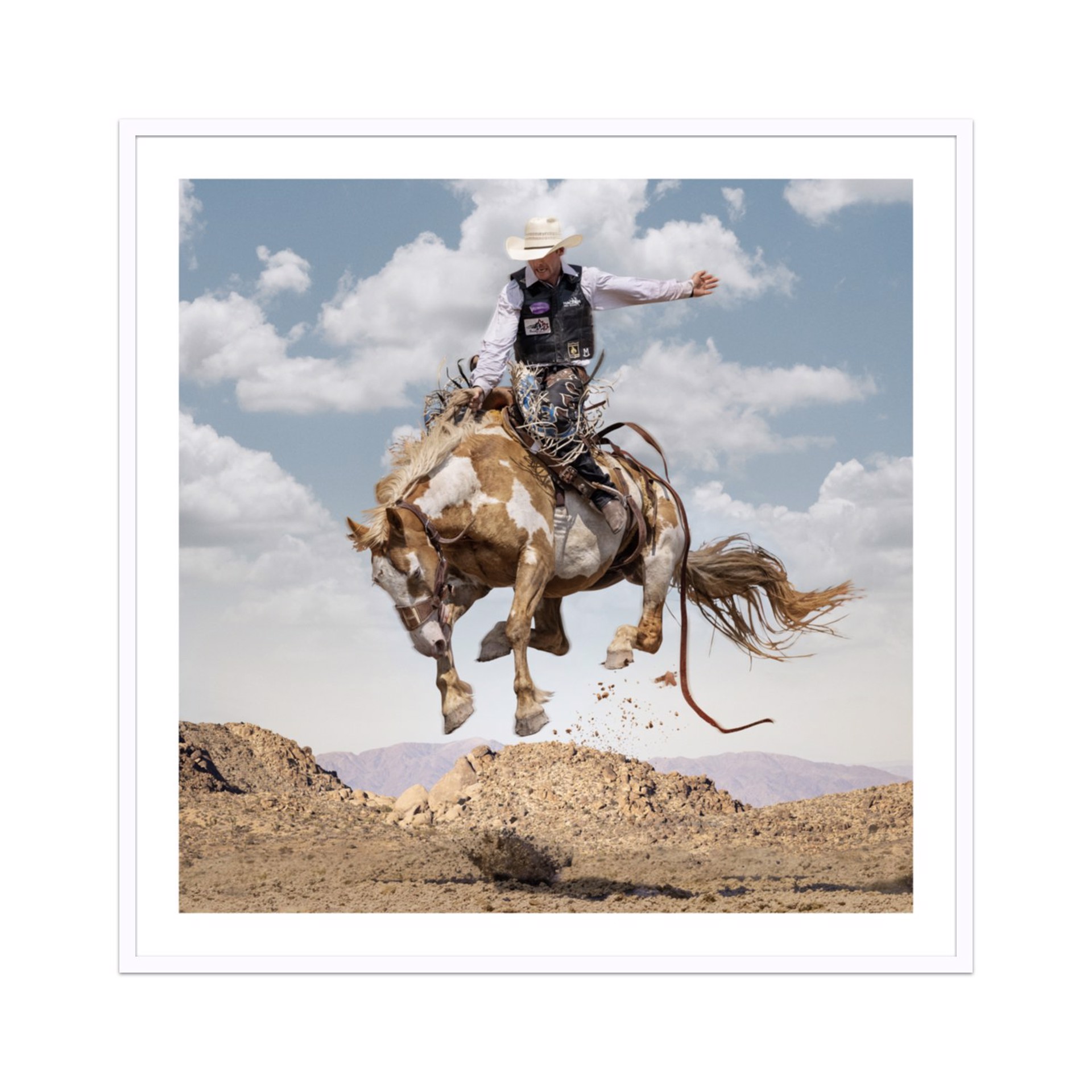 Mojave by Steve Wrubel