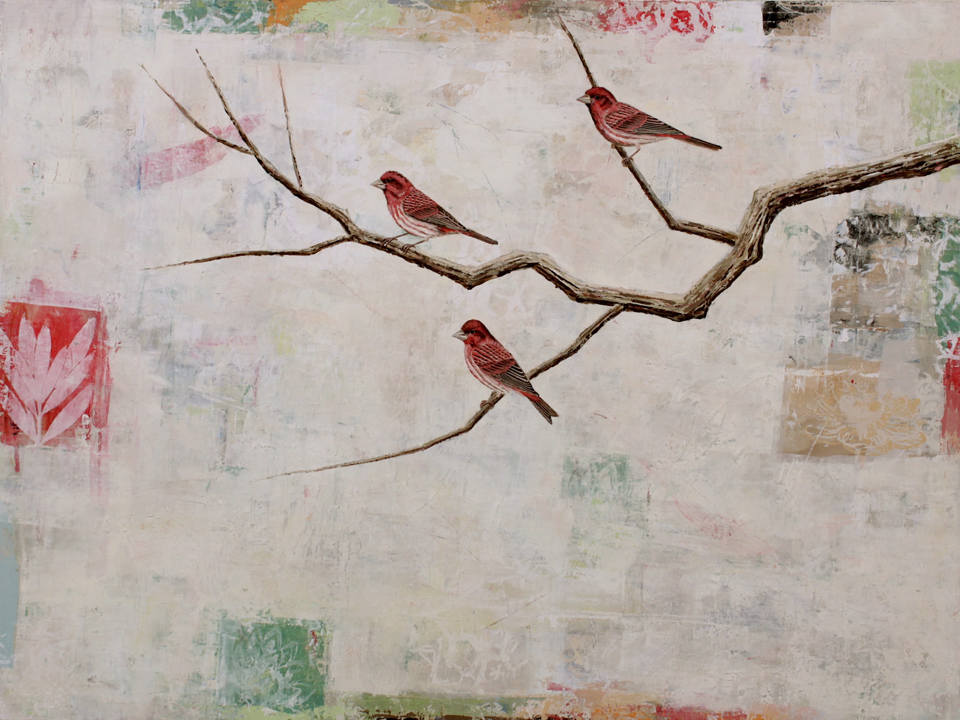 Purple Finches by Paul Brigham