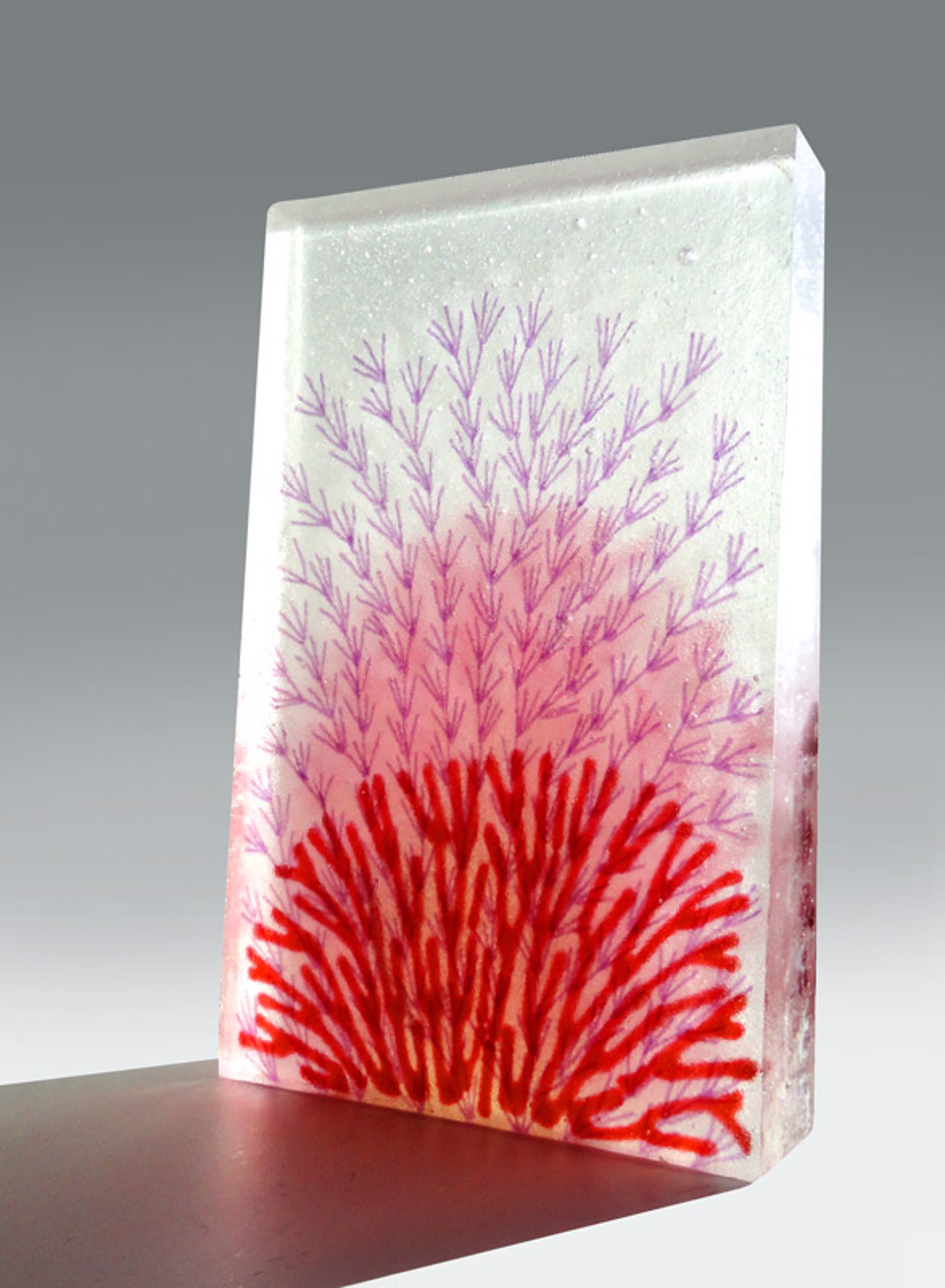 Tropical Corals - Ruby Red  (*P) by Emma Varga