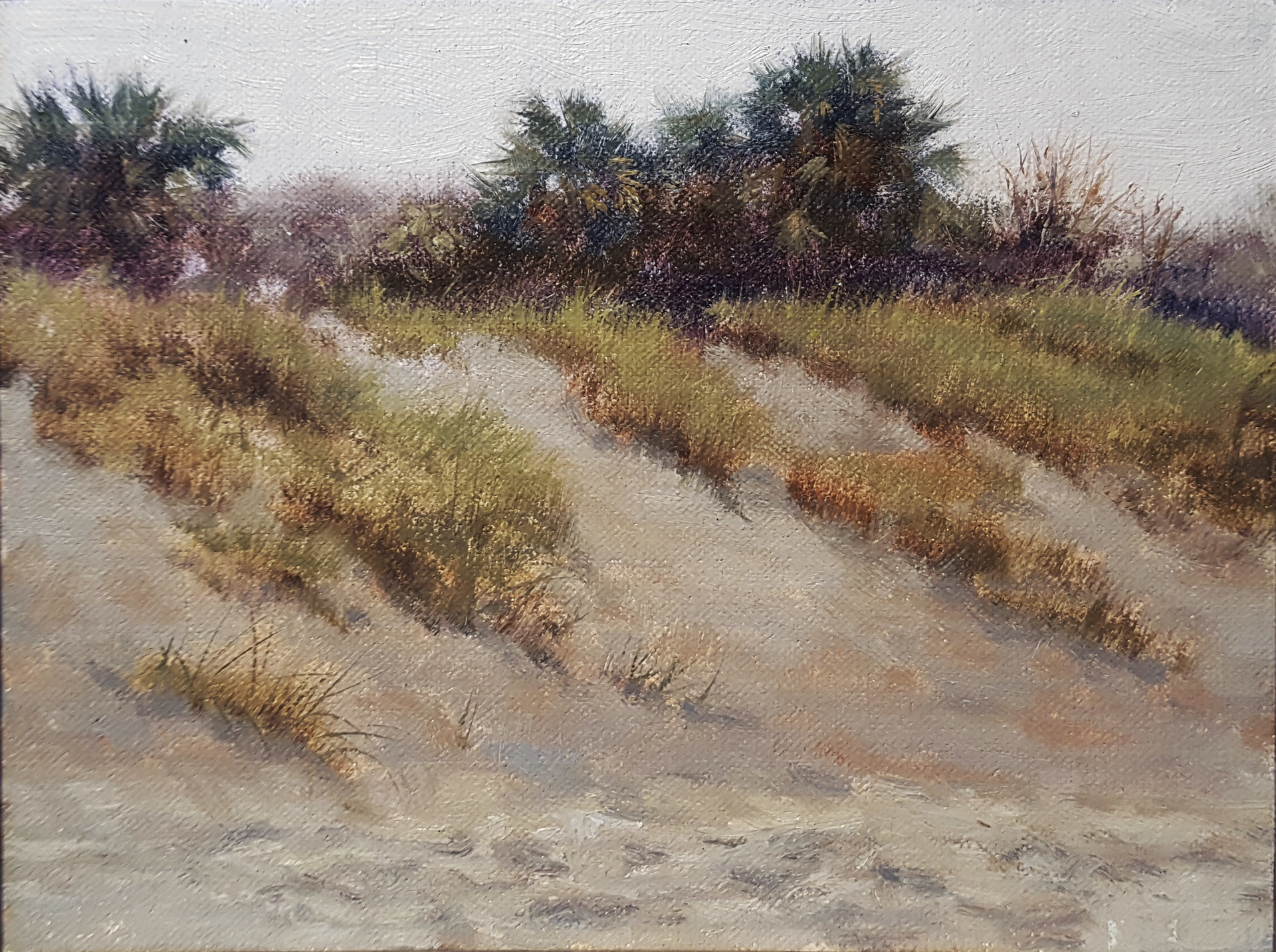 Winter Dunes by Mary Erickson