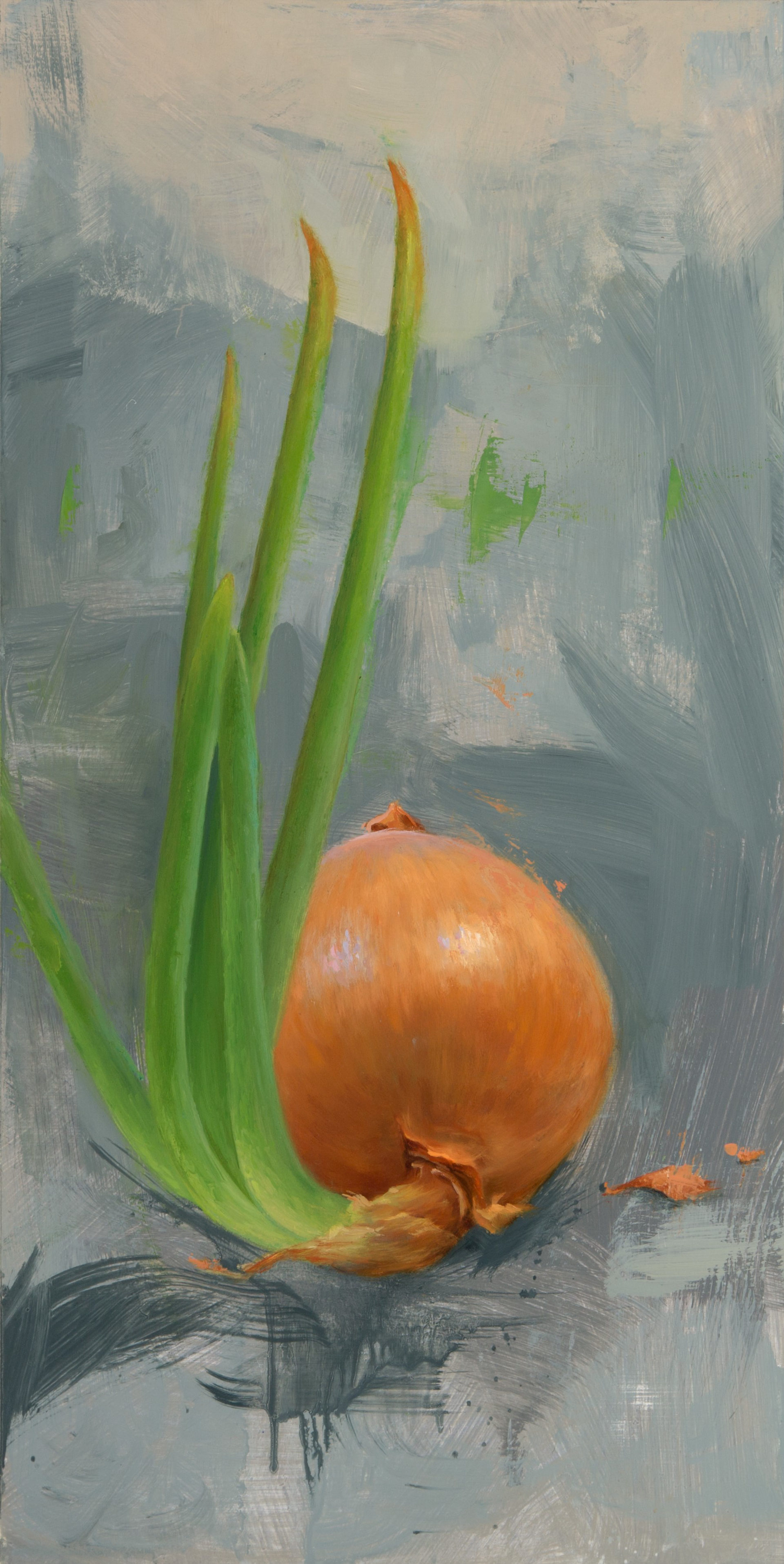 Onion by Elizabeth Zanzinger