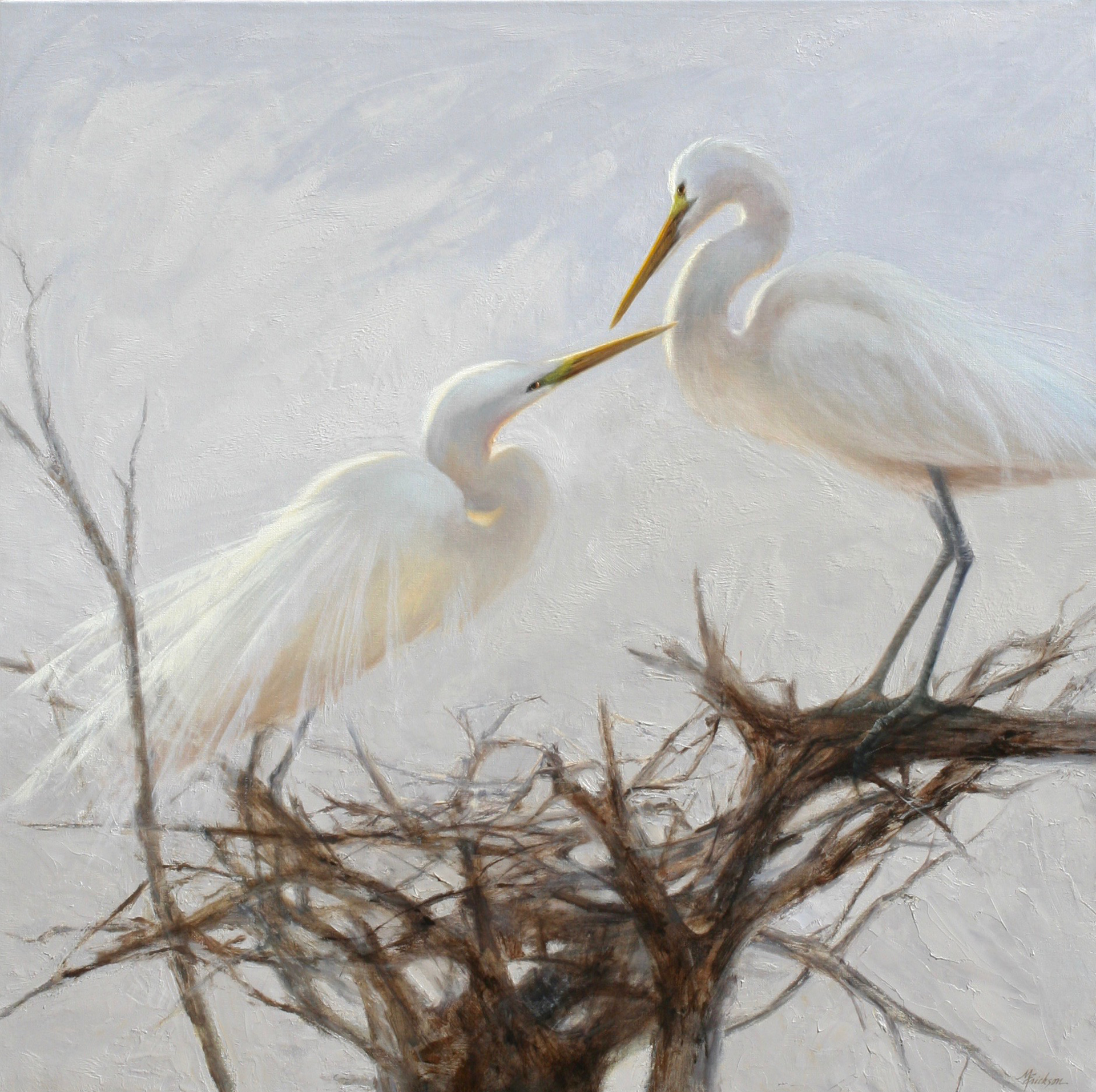 Nesting Egrets by Mary Erickson