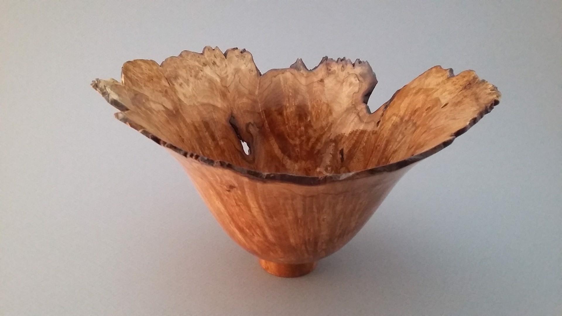 Natural Edge Bowl - Spalted Silver Maple by Gary Dahrens (Lafayette, OR)