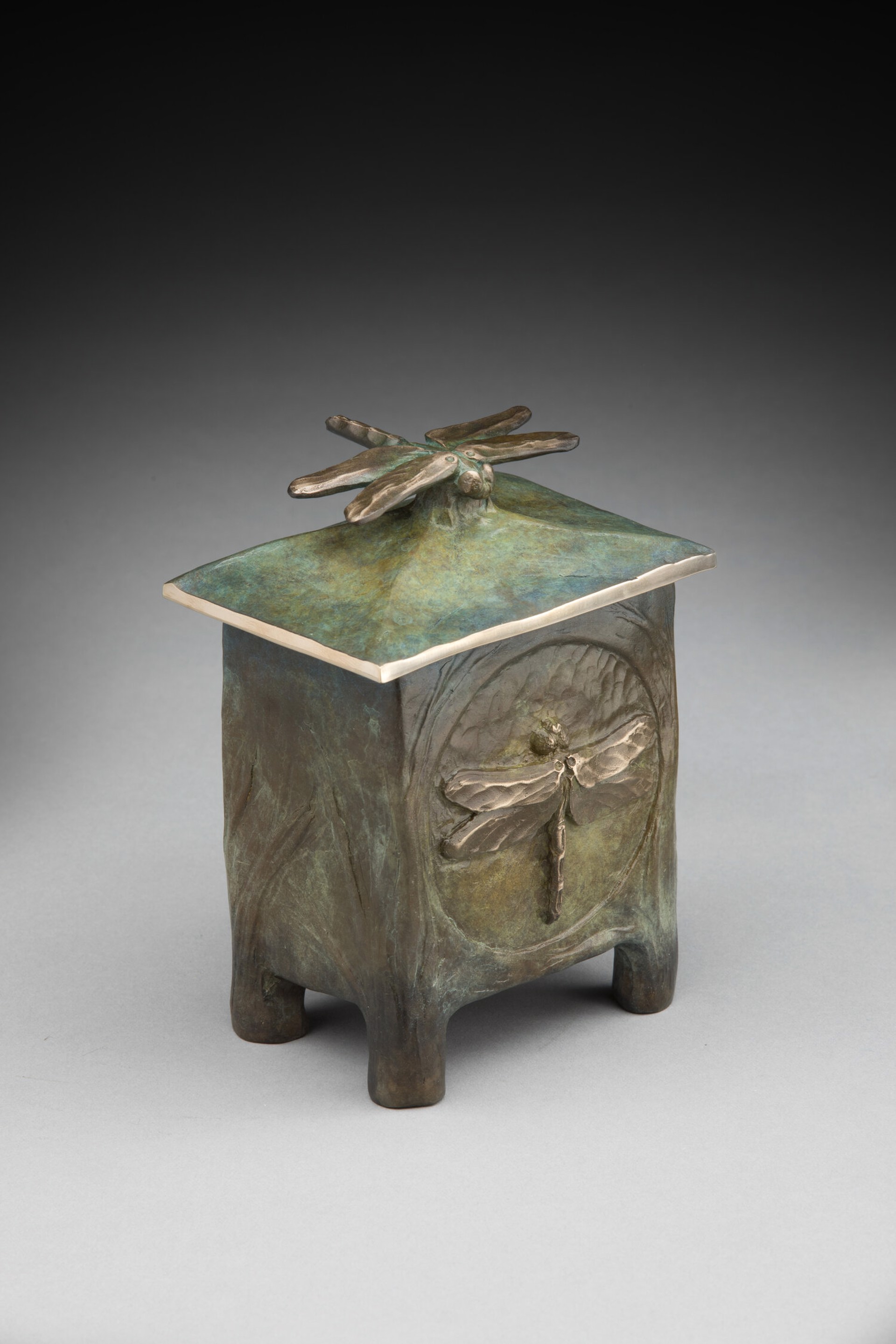 Dragonfly Vessel by JAMES MOORE