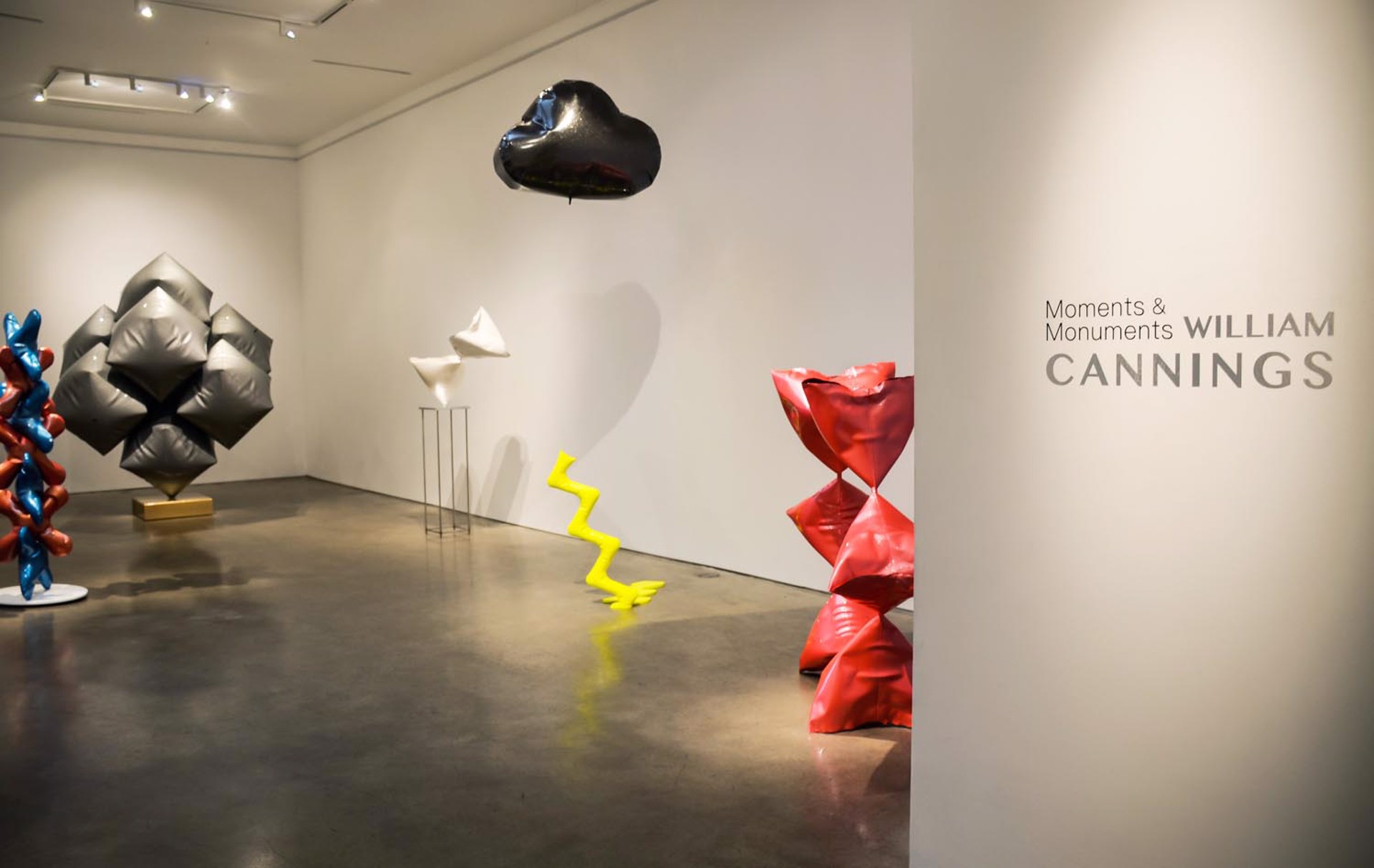 Installation view "Moments & Monuments" by William Cannings