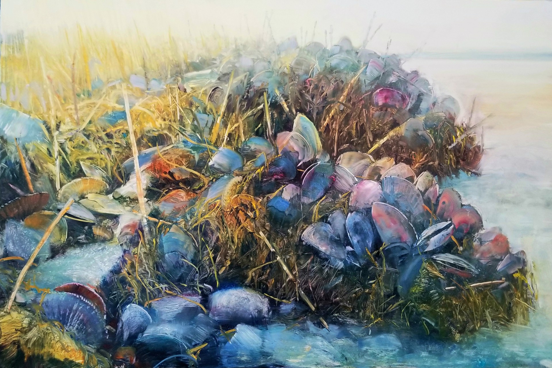 Mussels in Sunlight by David Dunlop