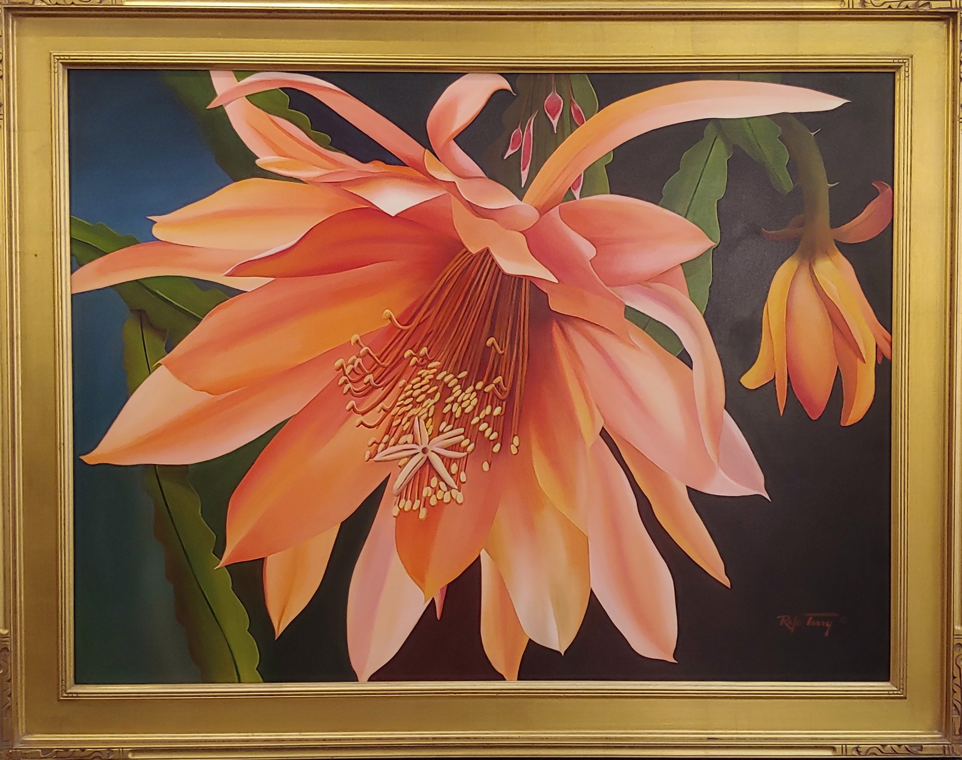 Orchid Cactus by Rafe Terry