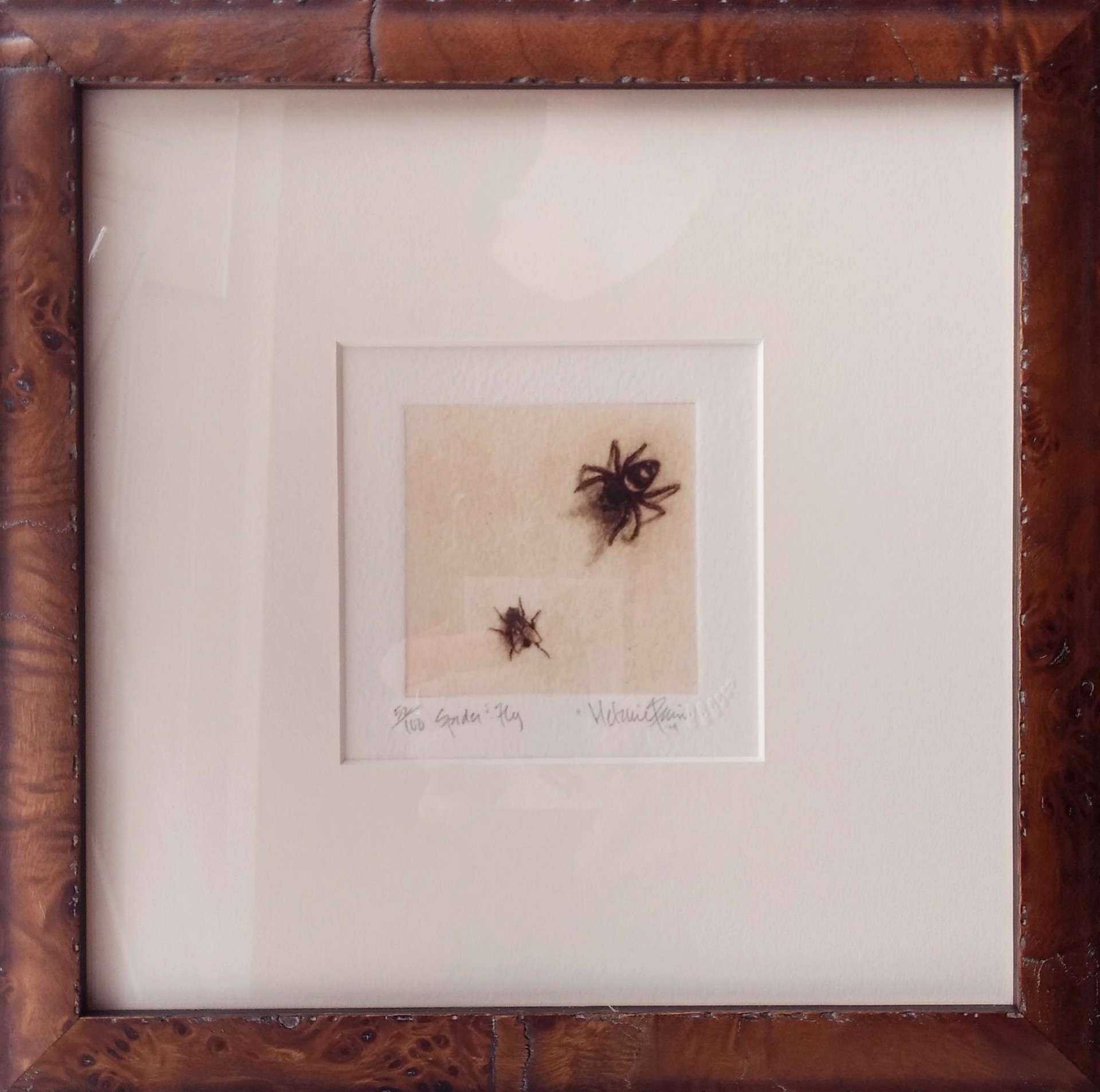 Spider and Fly_framed, #58/100 by Melanie Fain