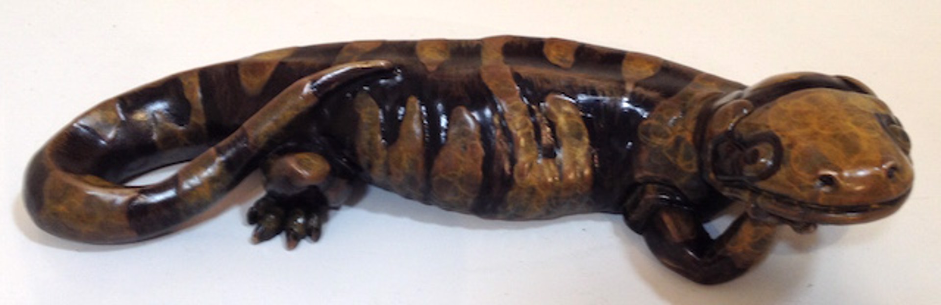 California Tiger Salamander by Pokey Park