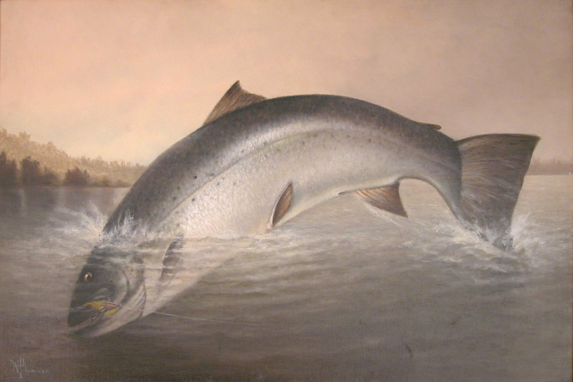 Leaping Salmon by Willis Henry Plummer