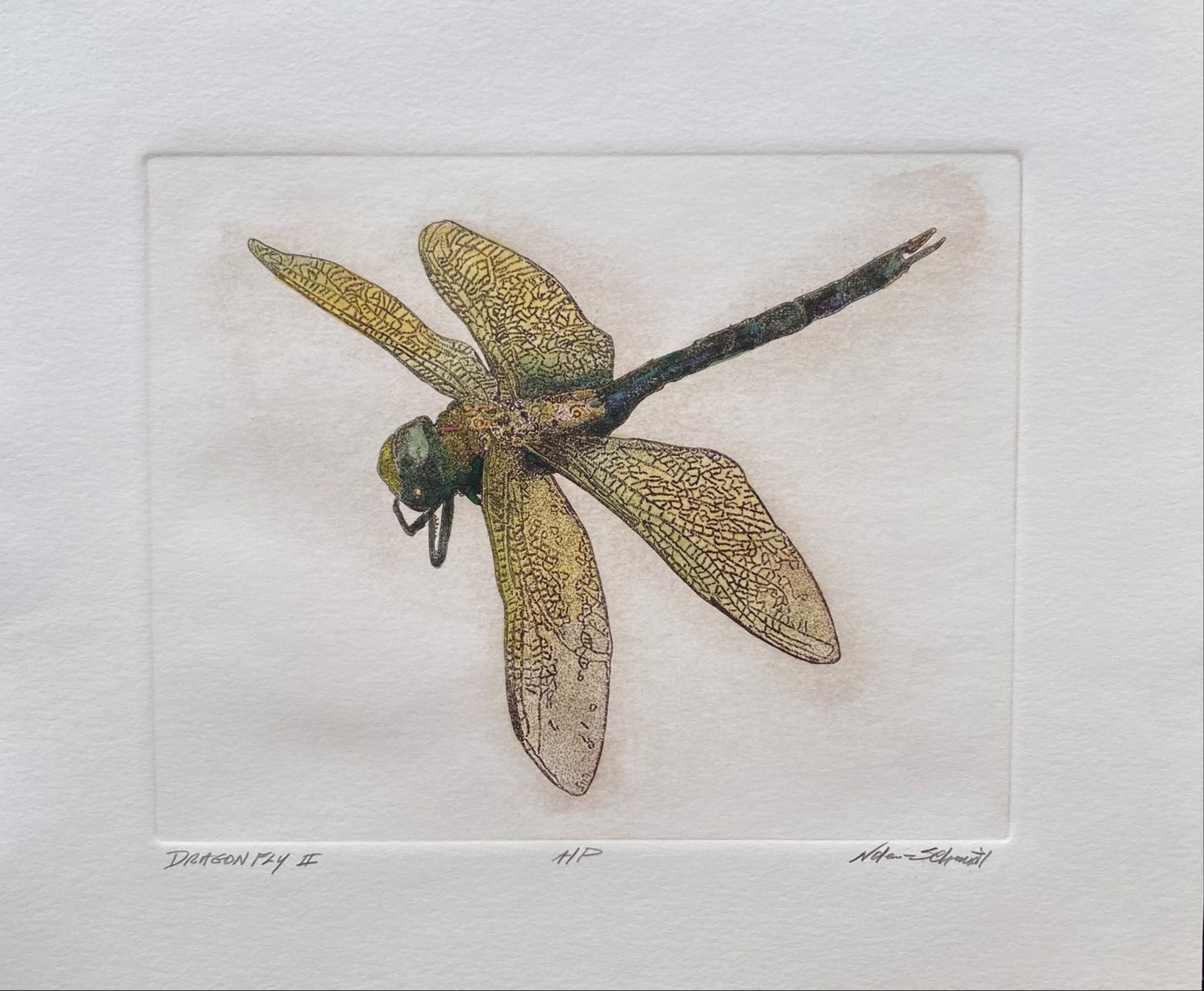Dragonfly II (Artist Proof) by William Nolen-Schmidt