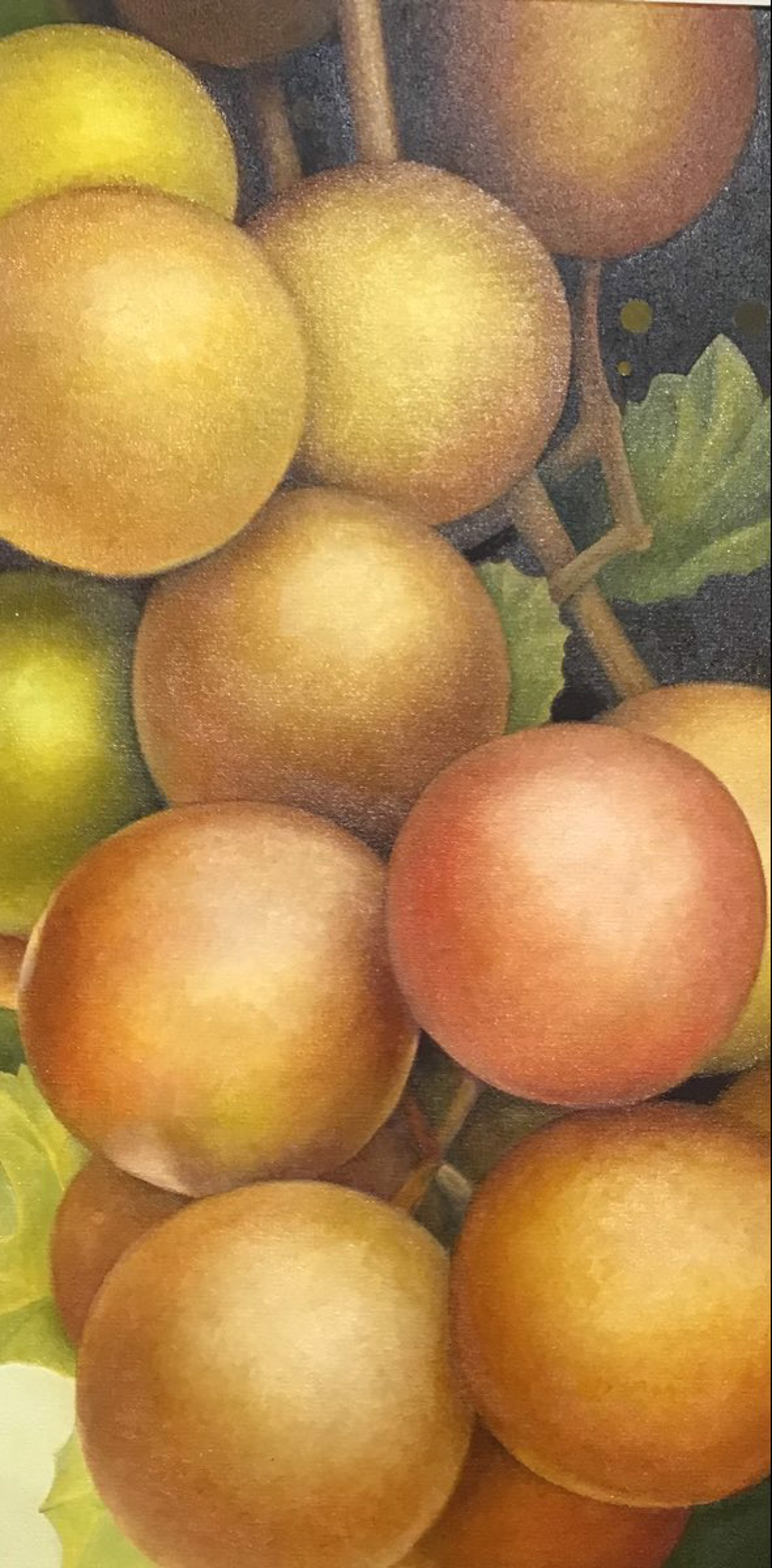 Tapestry Frgment #2 (Warm Grapes) by Steven Martin