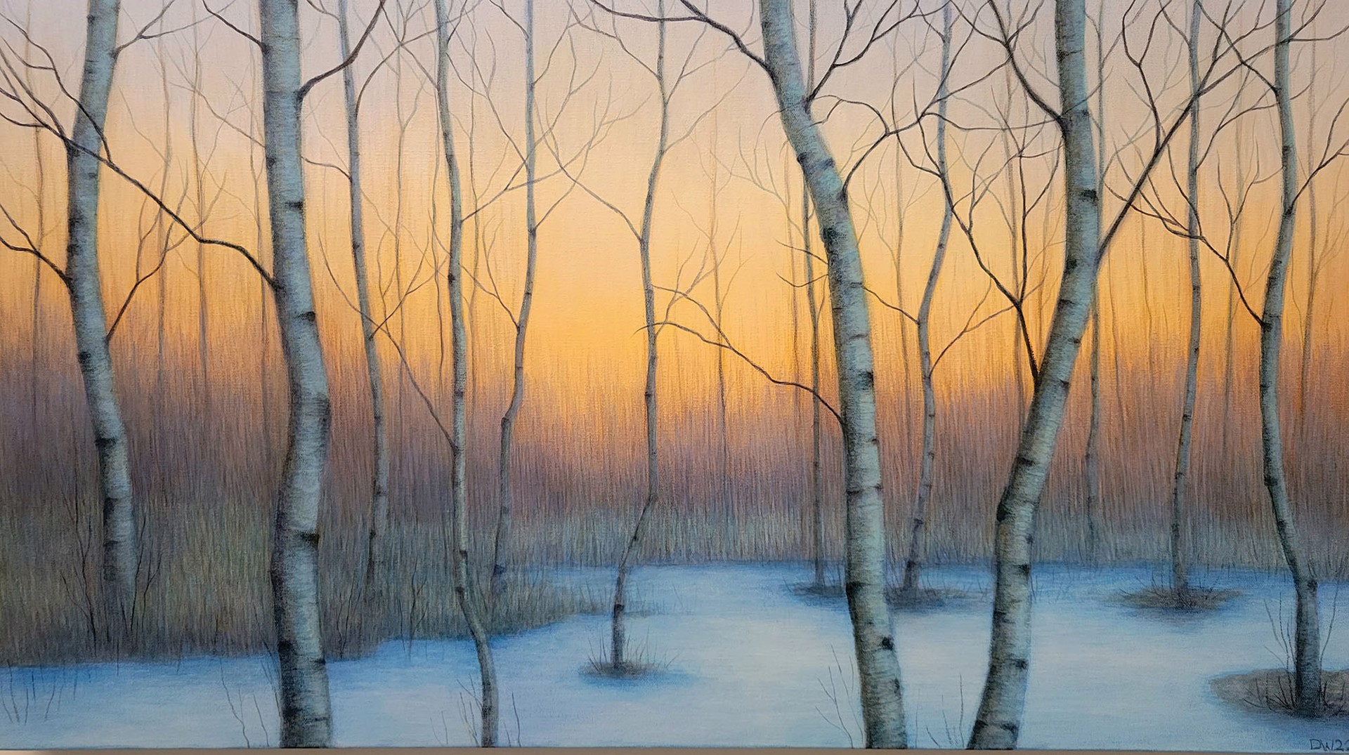 Winter Sunset by Debbie Wozniak-Bonk