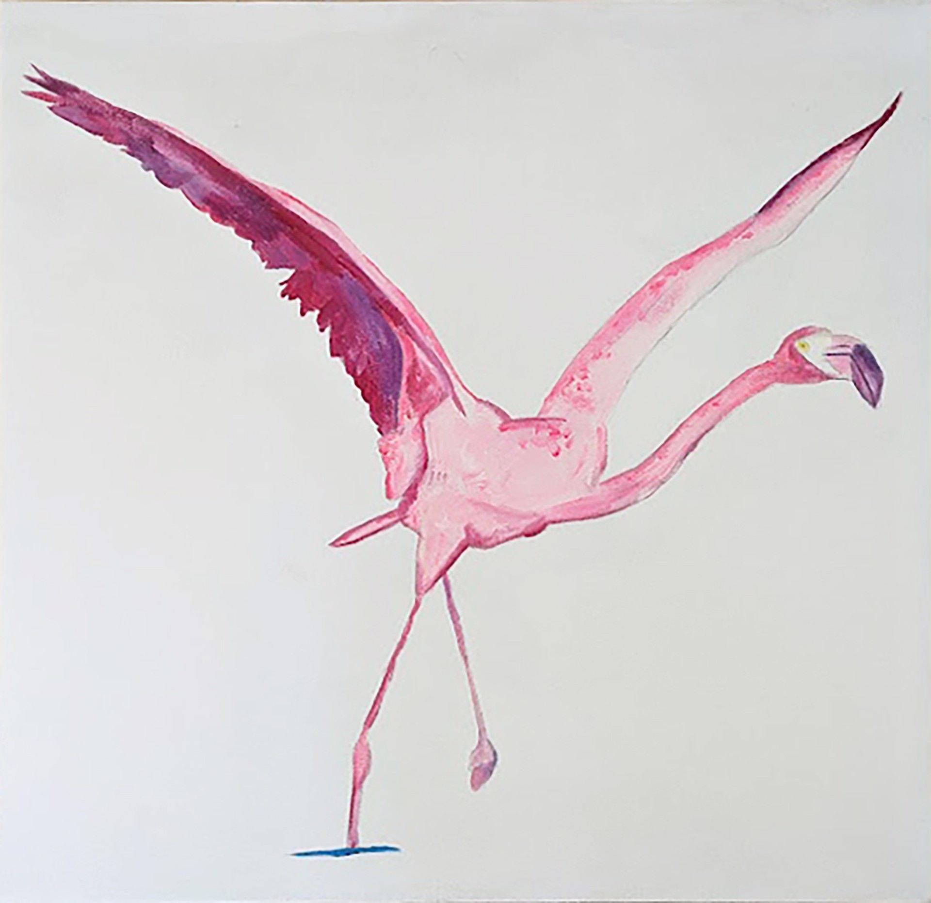 Flamingo by Anna Krieg
