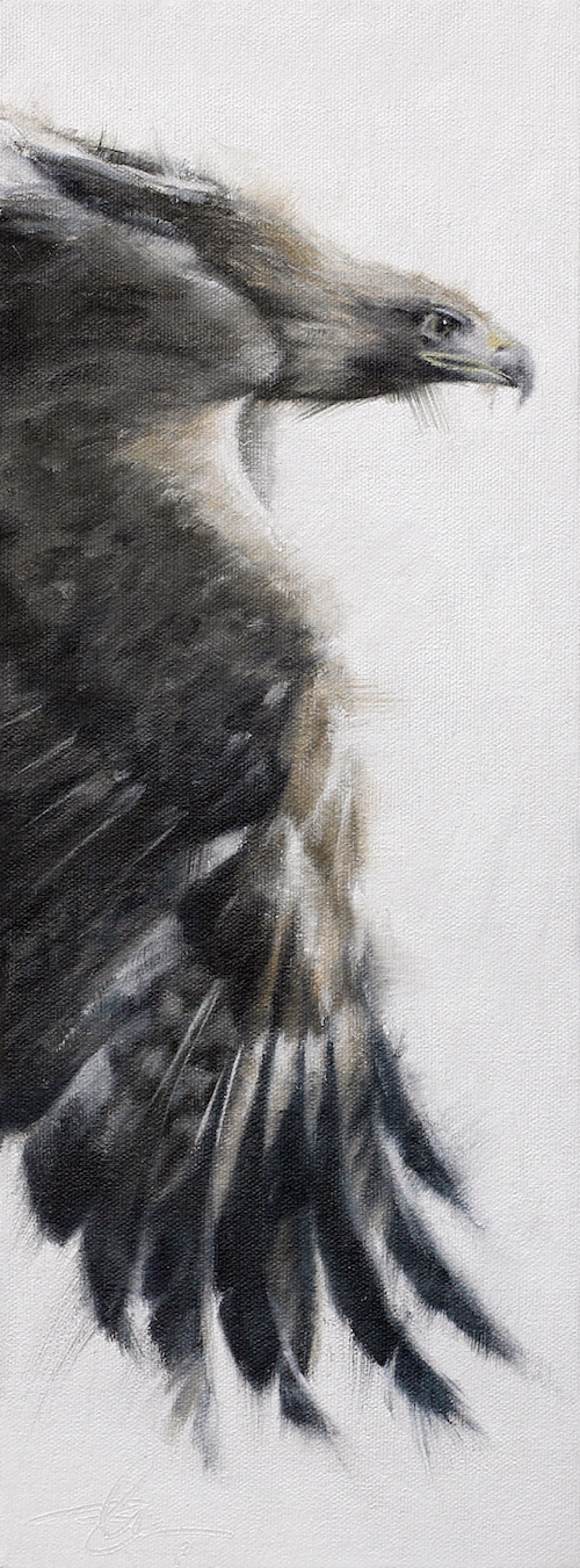 Original Oil Painting Of a Golden Eagle In Flight By Doyle Hostetler