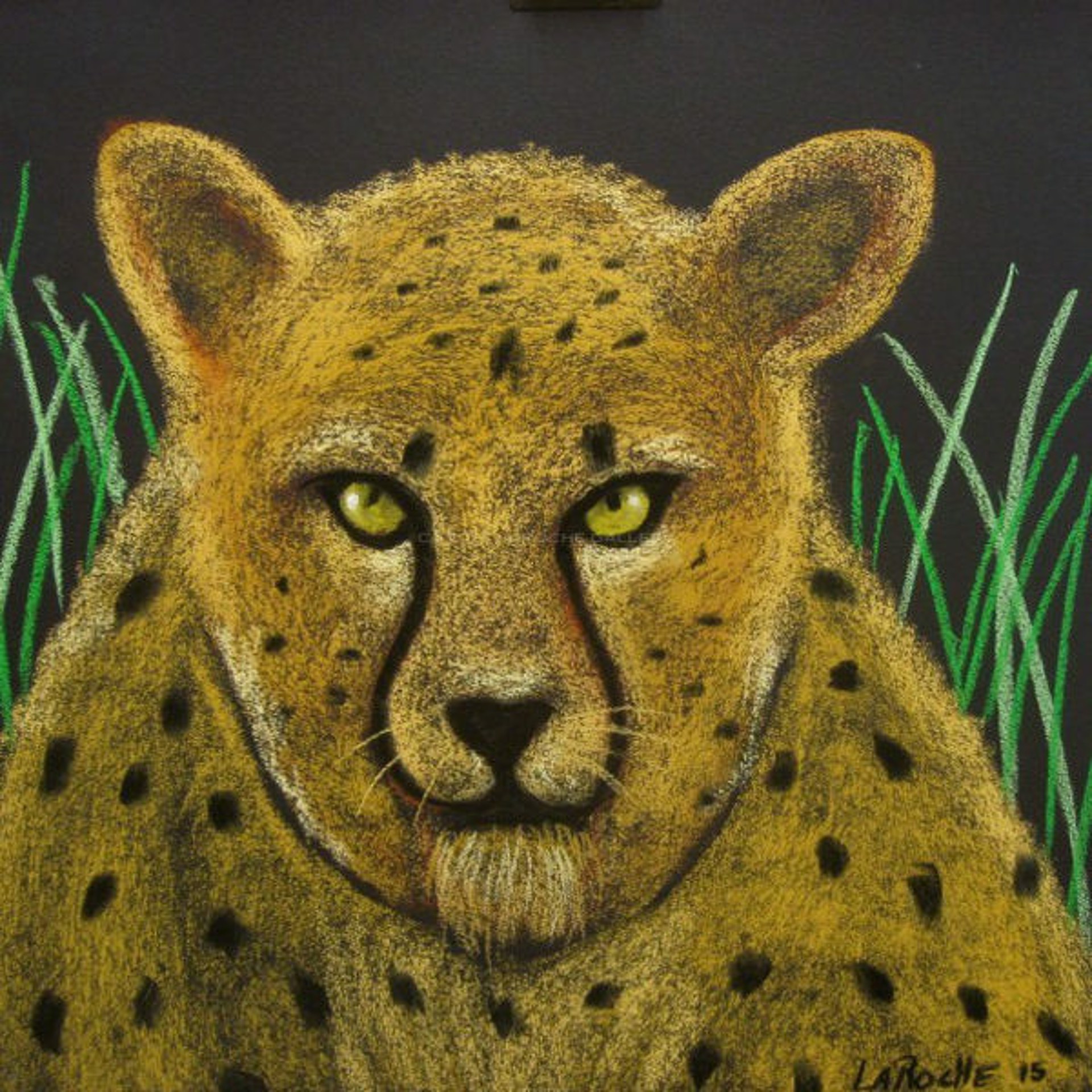 Cheetah by Carole LaRoche