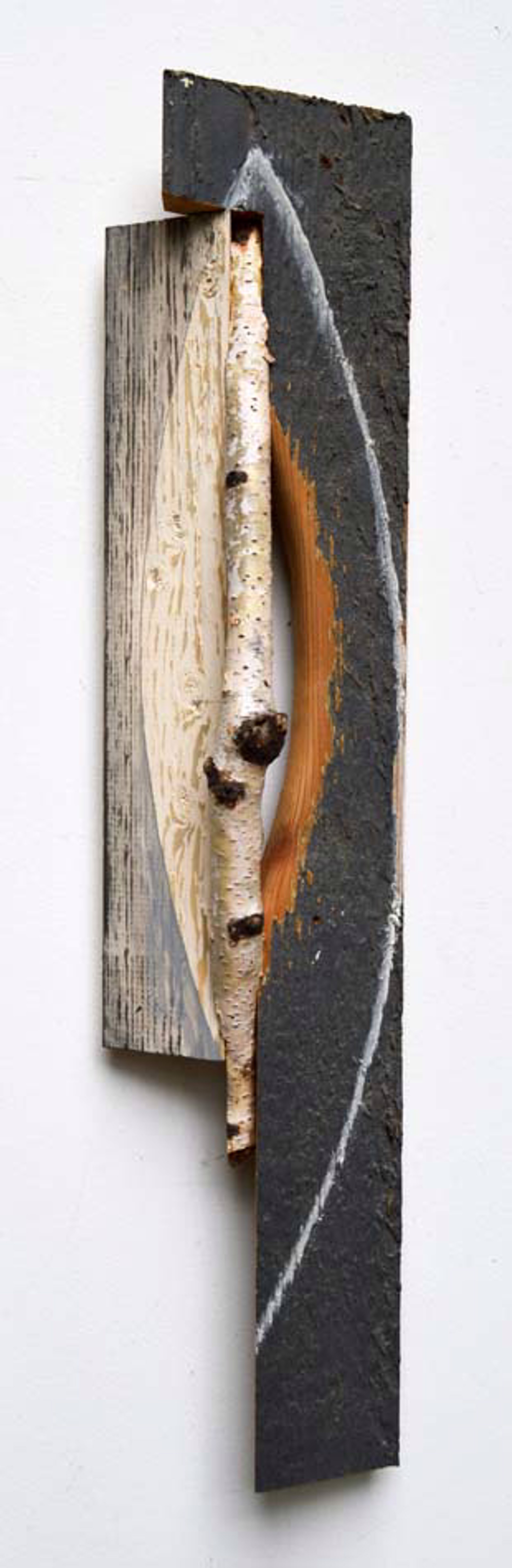 Birch Ellipse by Melinda Rosenberg