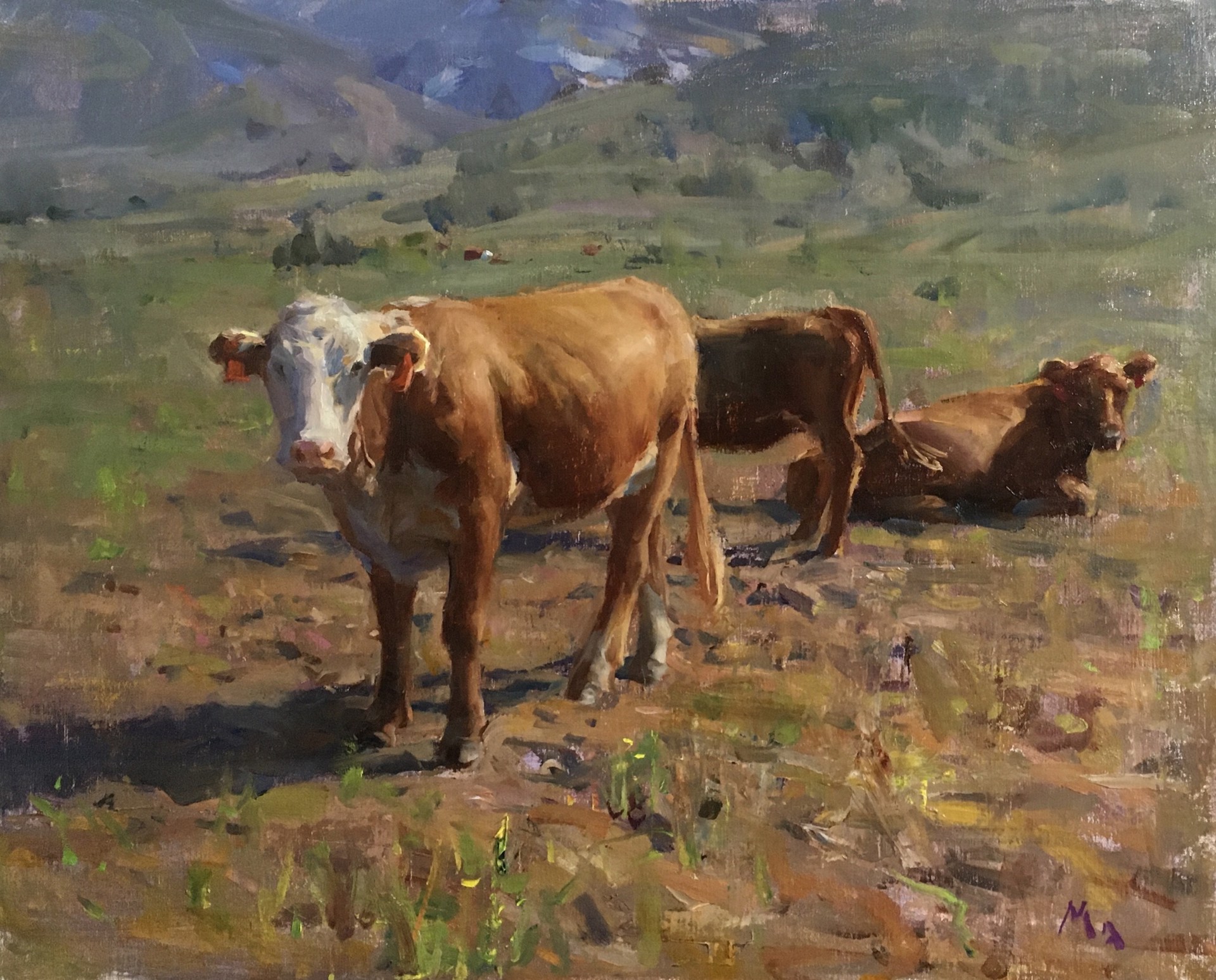 Crested Butte Cows by Kyle Ma