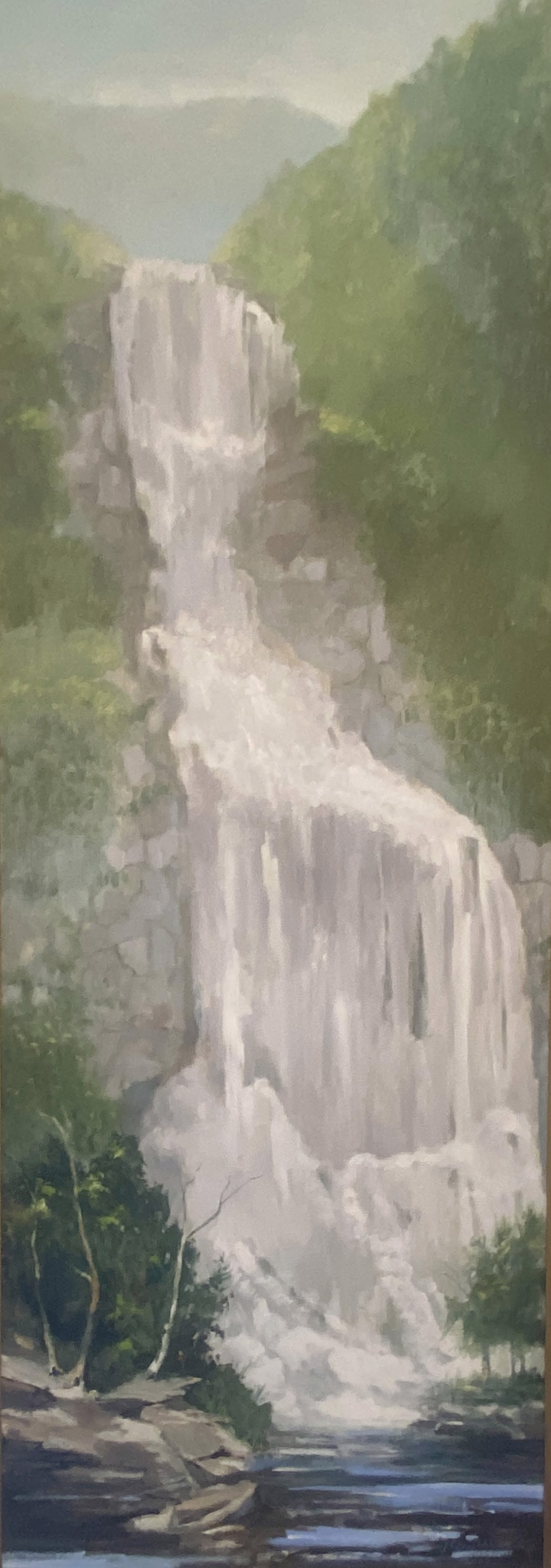 waterfall with rocks and trees