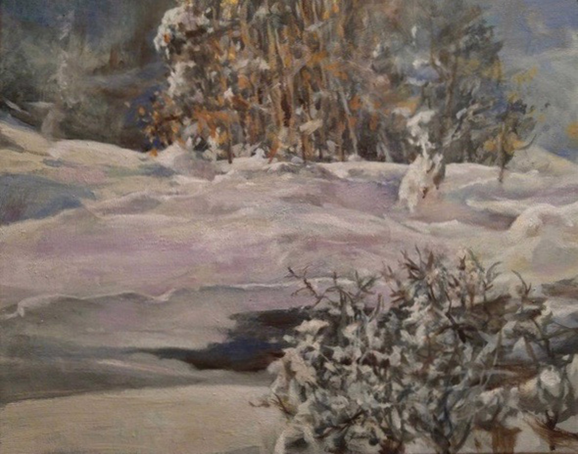 Snow Scene Setting Afternoon Drift by Rino Friio