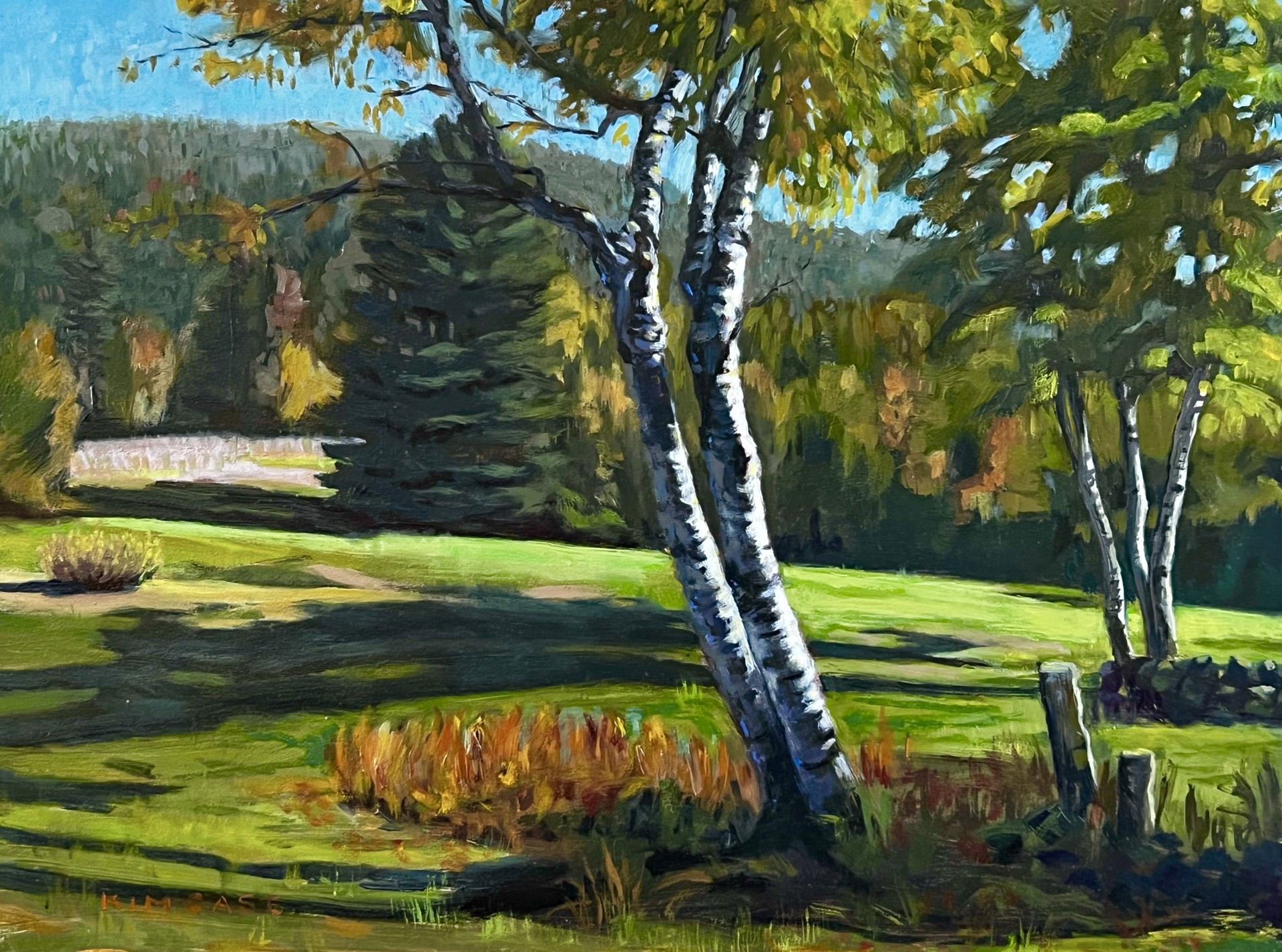 The Birches by Kim Case