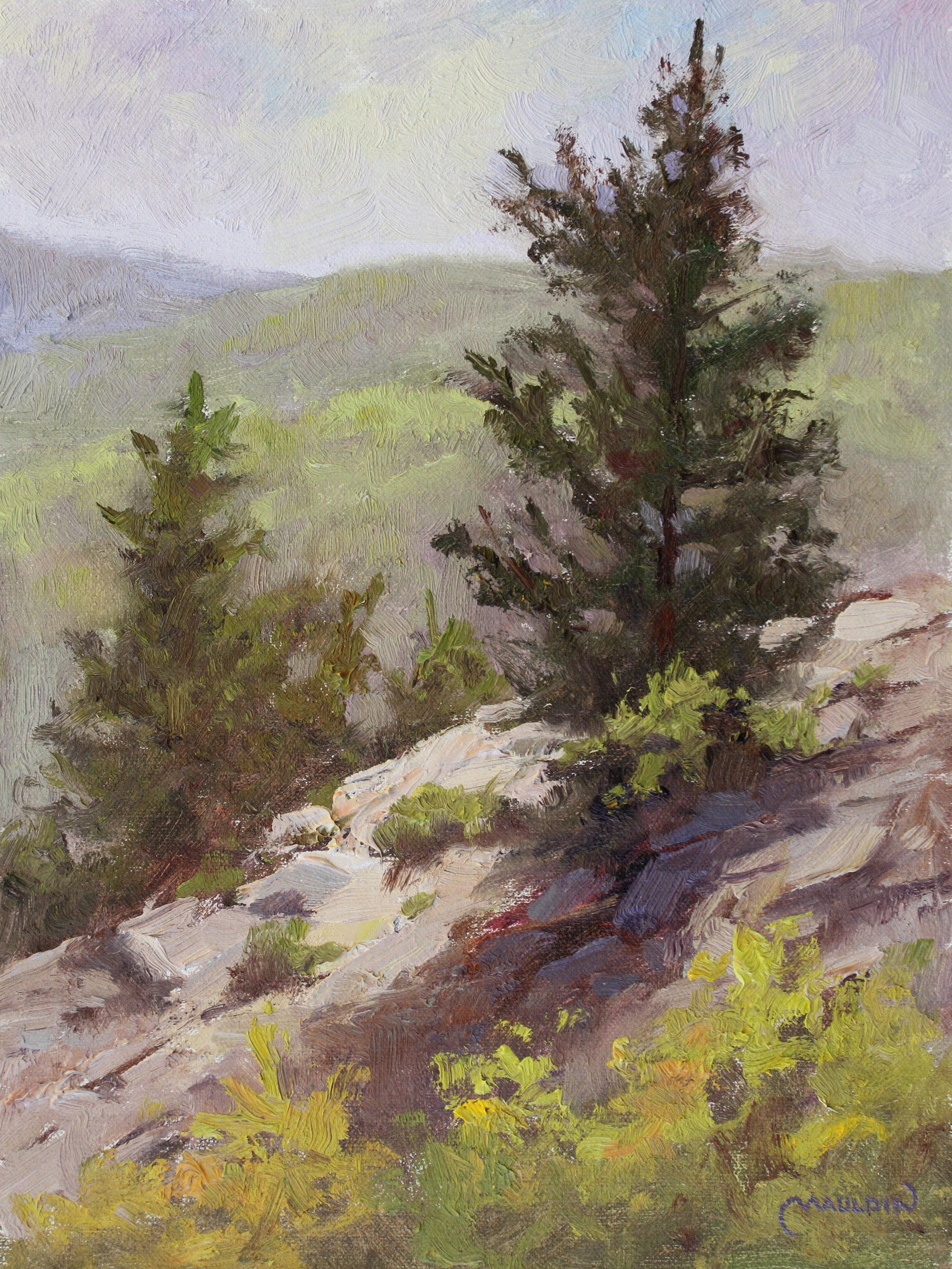 Mountainside Trees by Chuck Mauldin