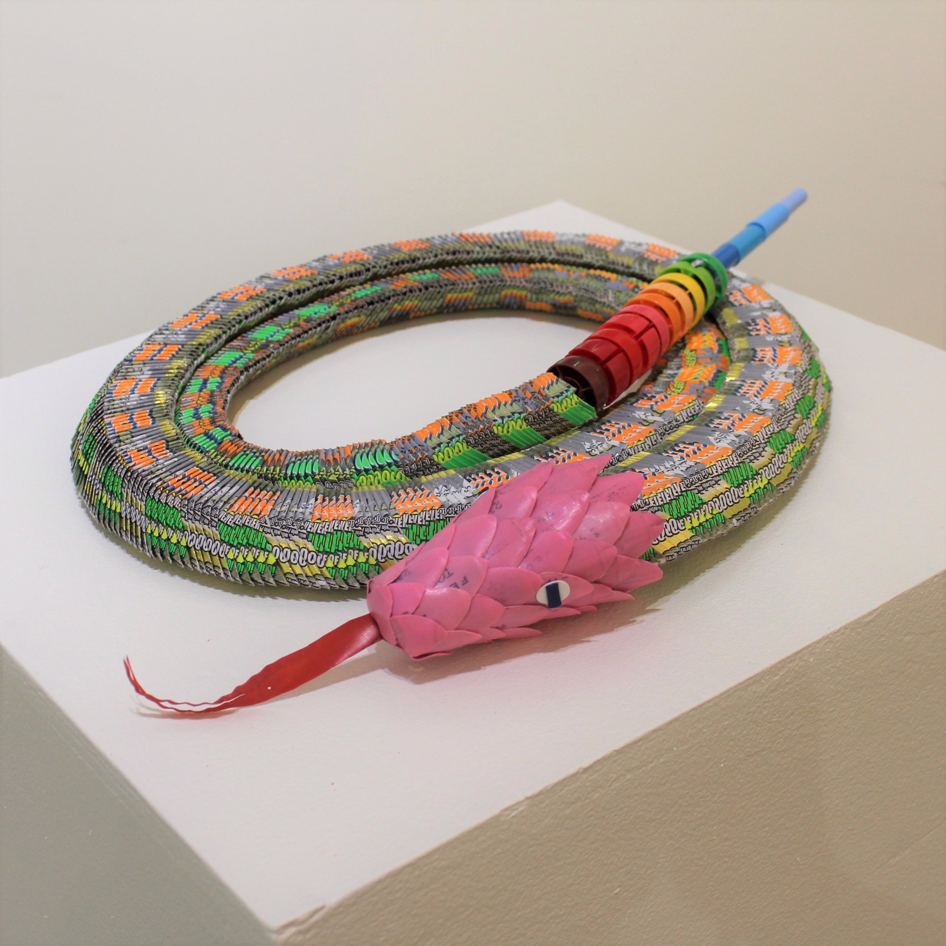 Pink-Headed Snake by Alex Lockwood
