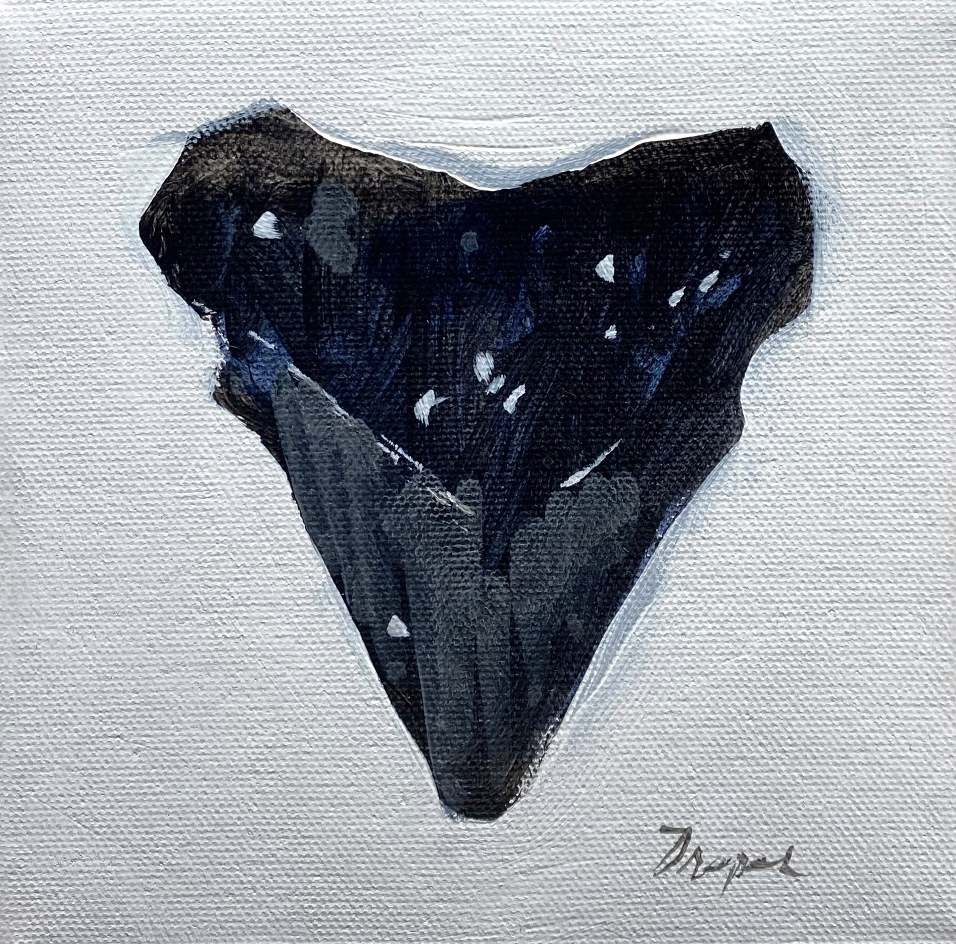 Mini Shark Tooth No. 12 by Jim Draper