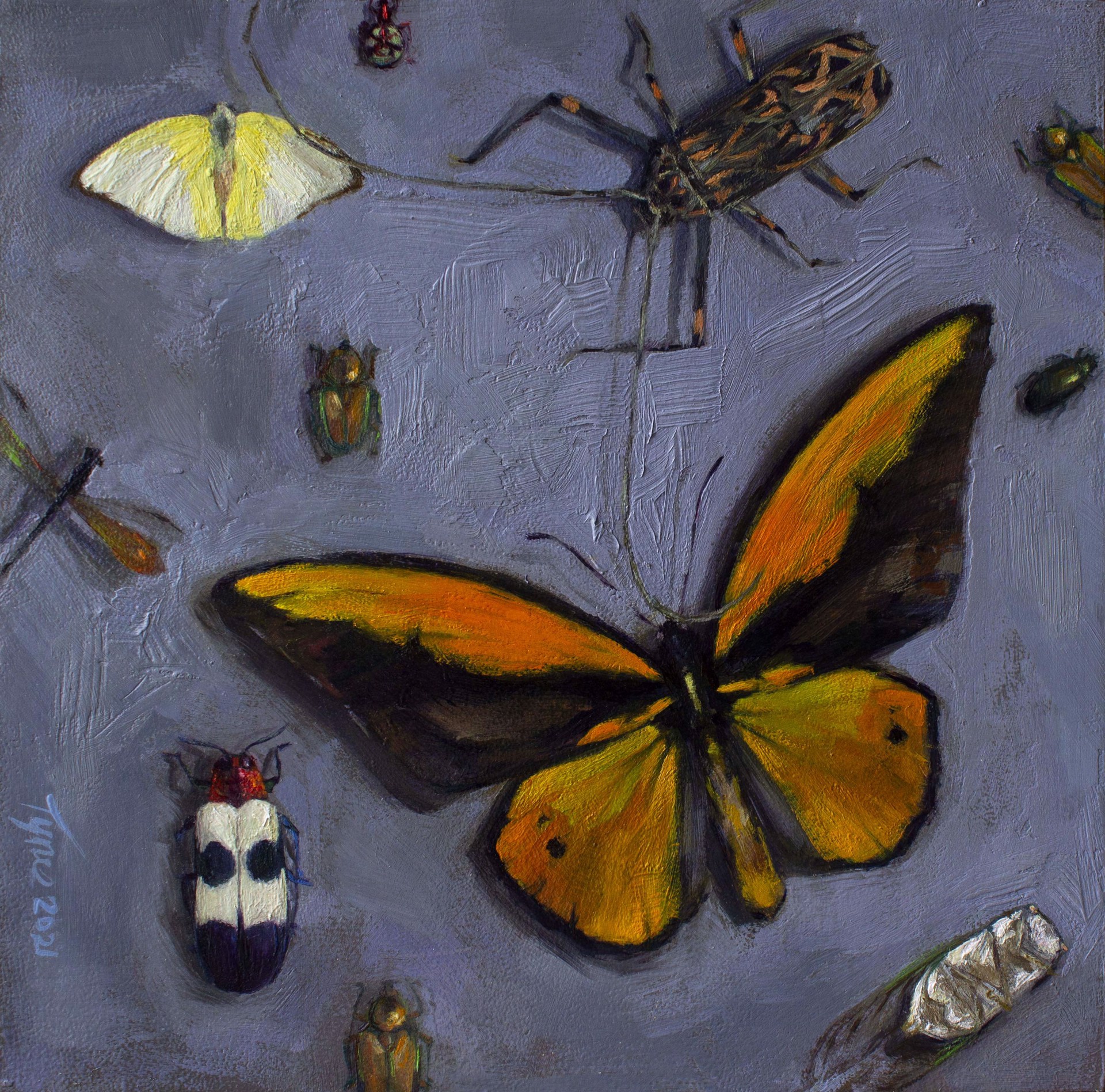 Insect Square by Taylor Tynes