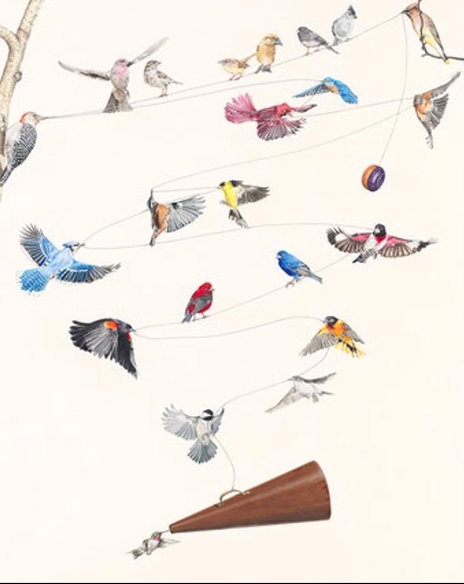 Four Calling Birds 3 - Song Birds 1/2 Size Unframed Print by Paul Van Heest