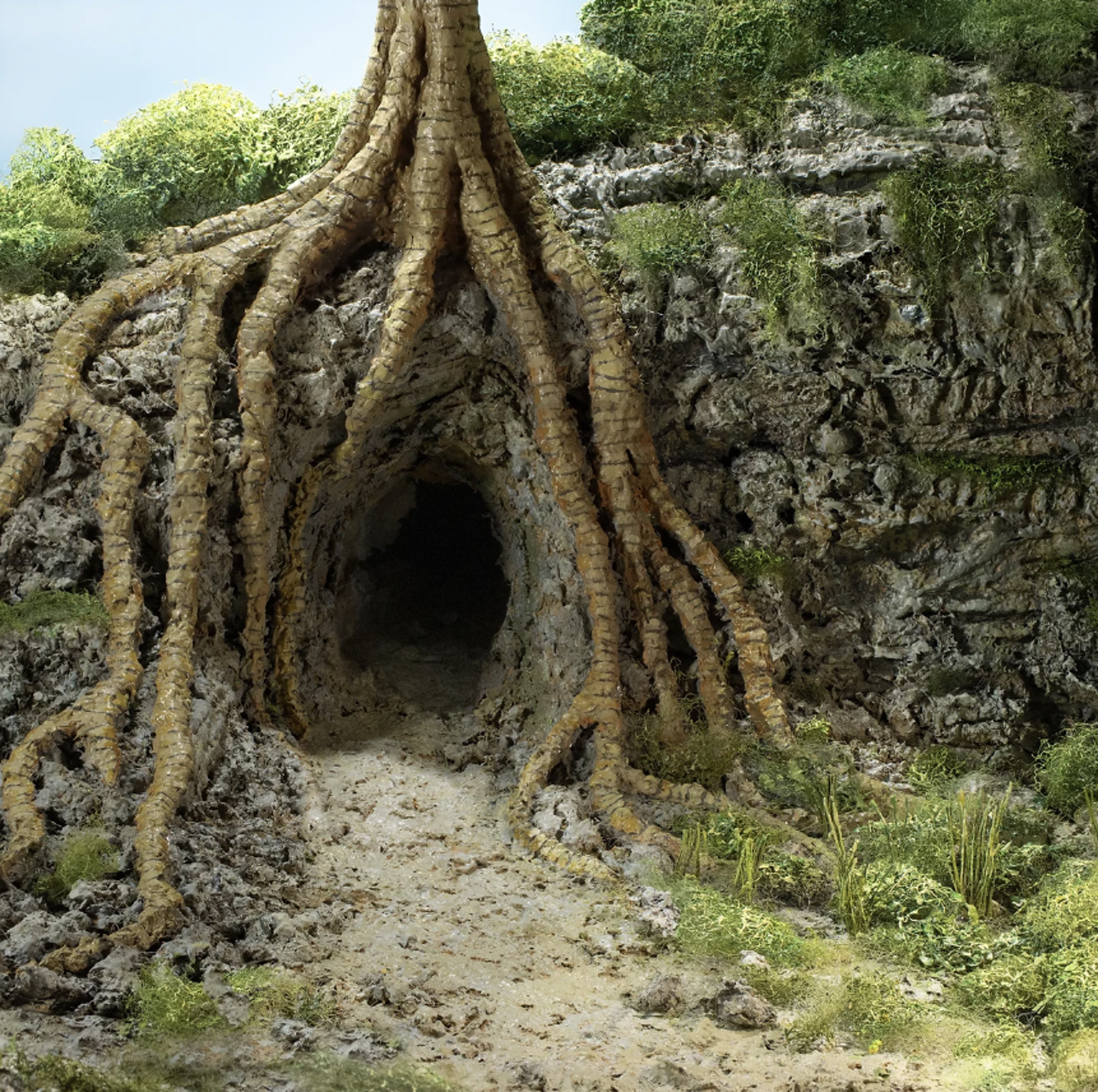 Strangler Fig Cave by Stephen Dorsett