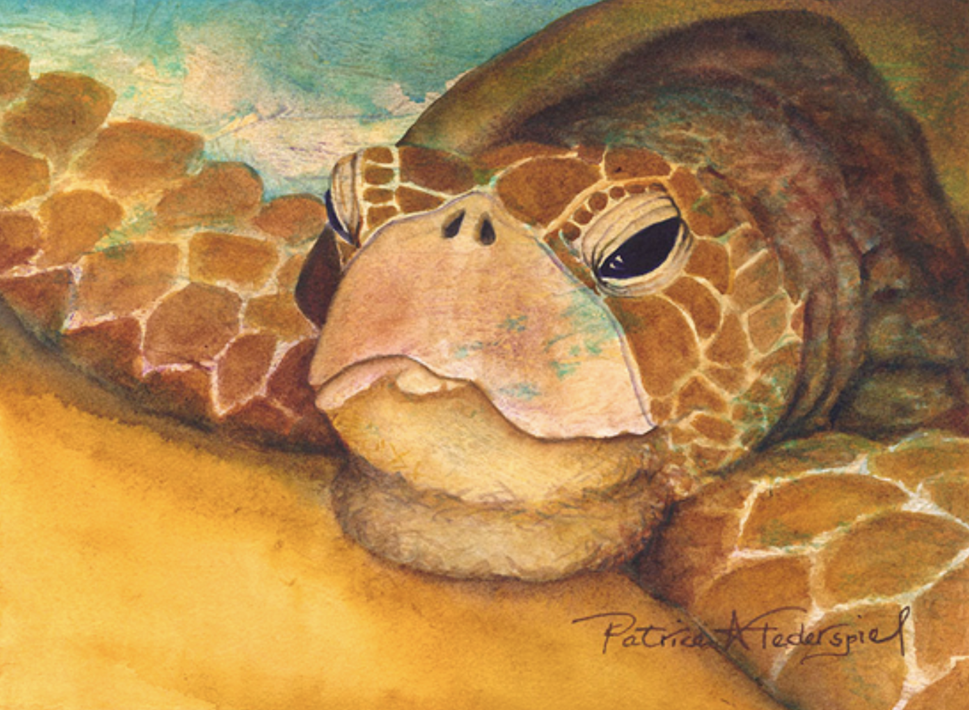 Hawaiian Basking Turtle by Patrice Ann Federspiel
