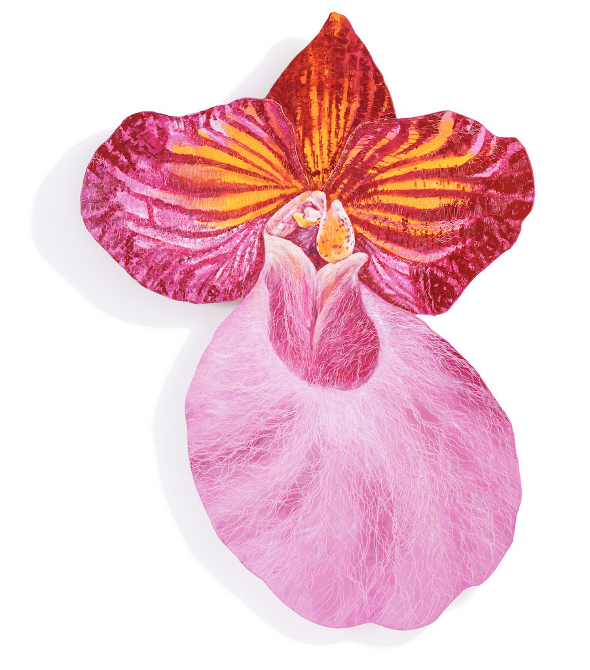 Taiwanese Lady Slipper 1 by Leigh Wen