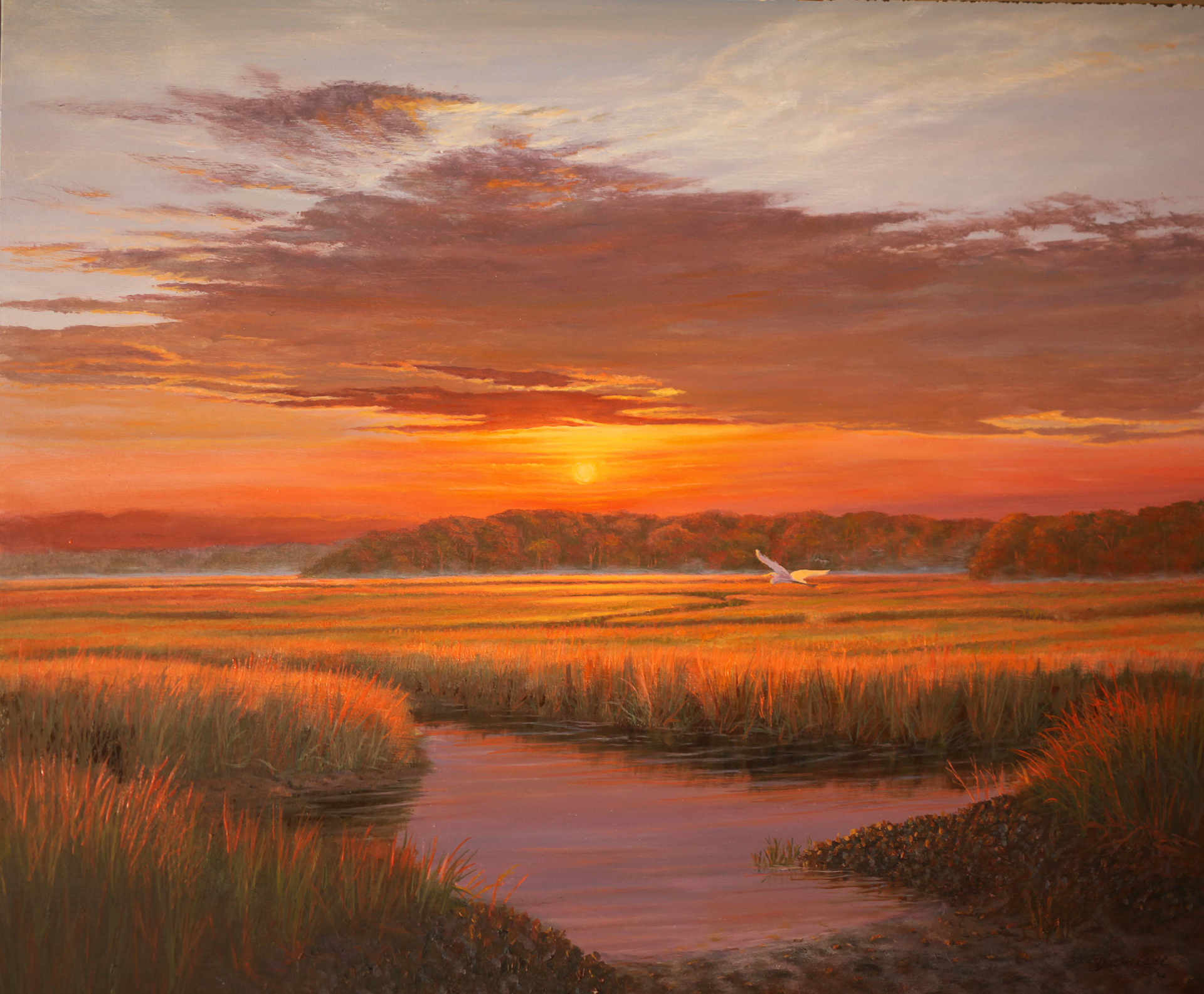 Sunset Light by Douglas Grier