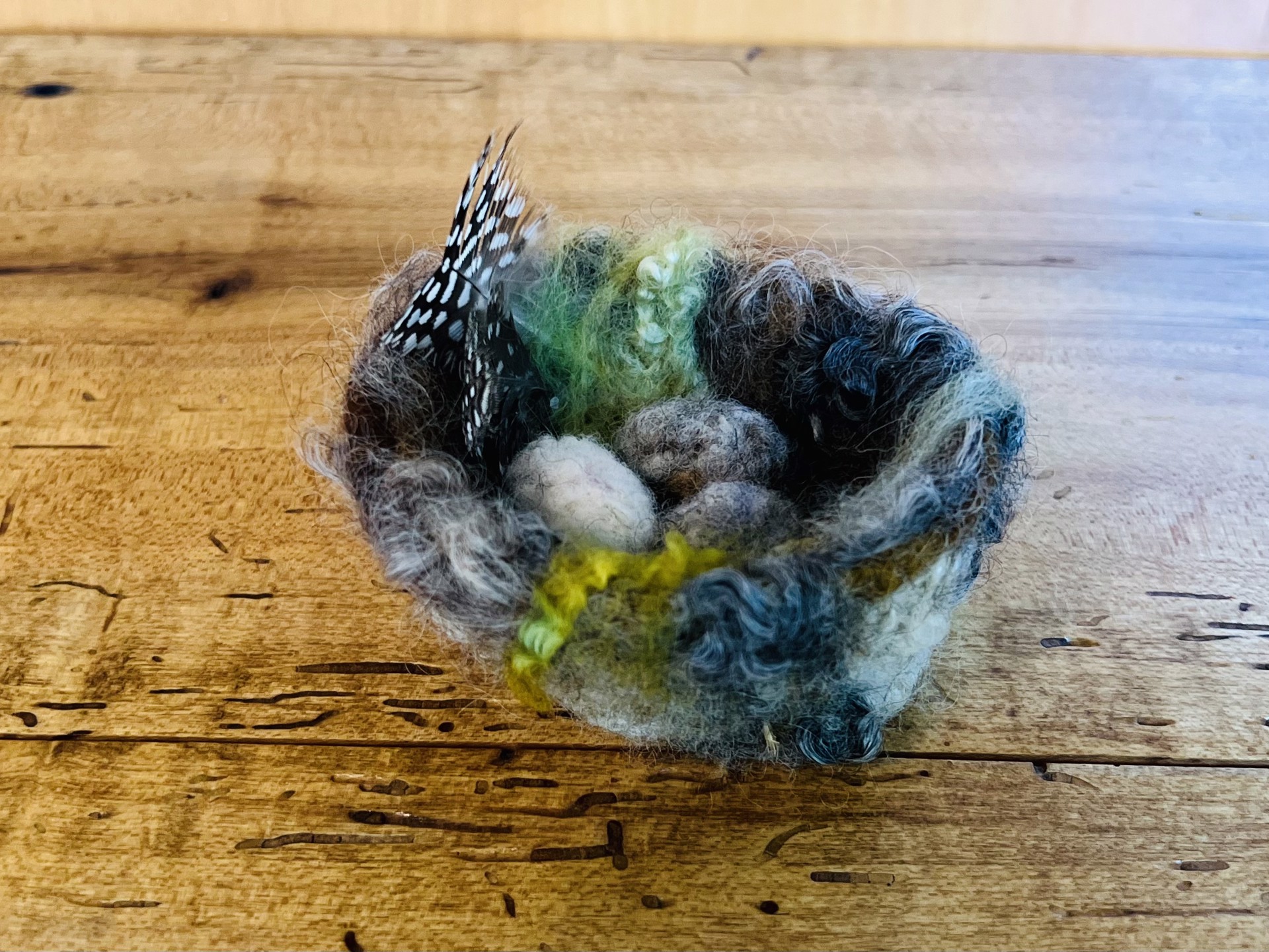 Nest W/Eggs by Barb Ottum