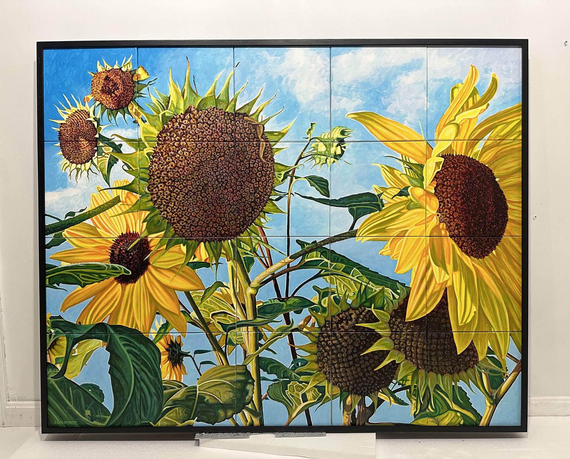 Sunflowers No. 1 by Christopher O'Connor