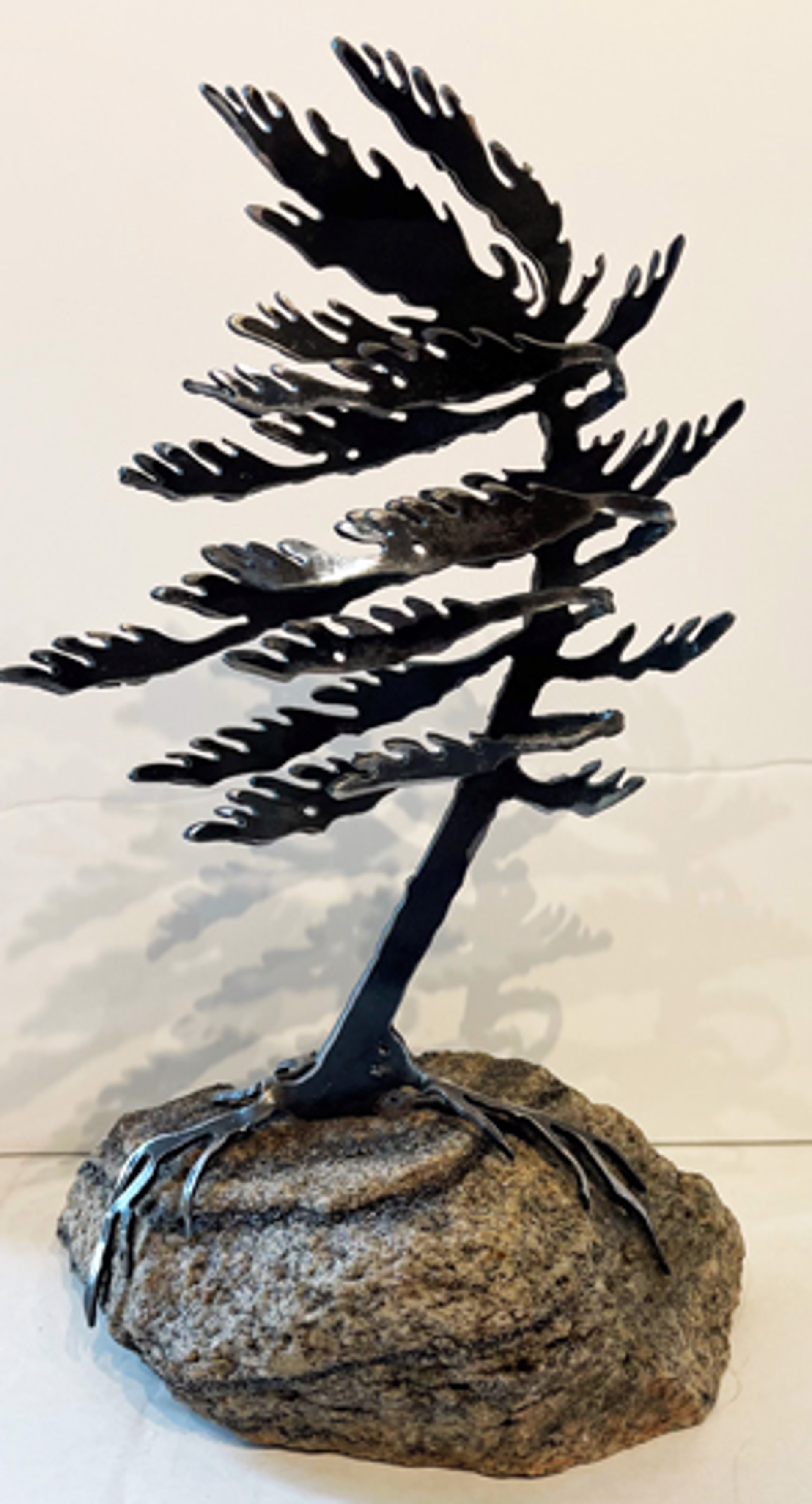 Windswept Pine 659518 by Cathy Mark