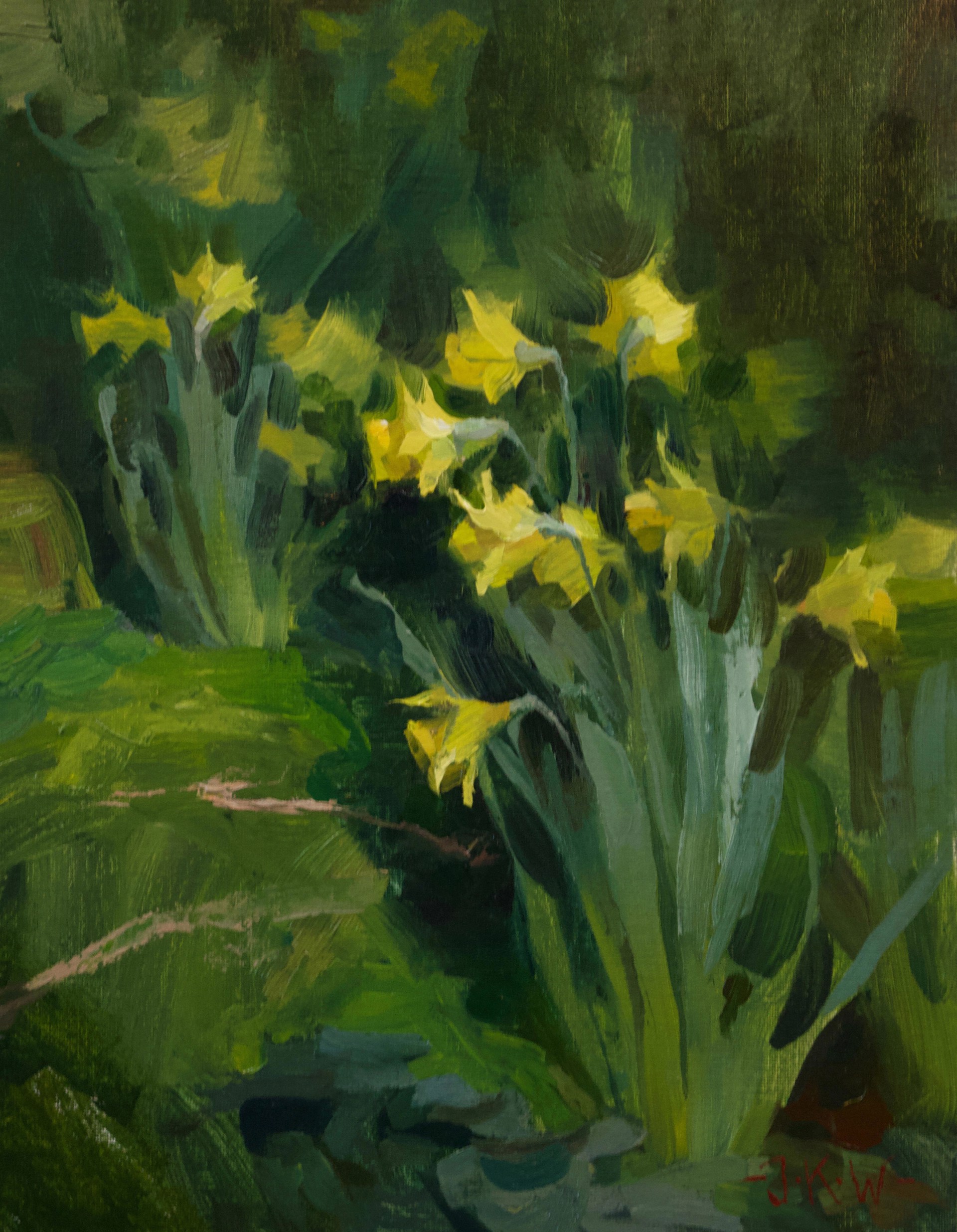 Daffodils by Jordan Walker