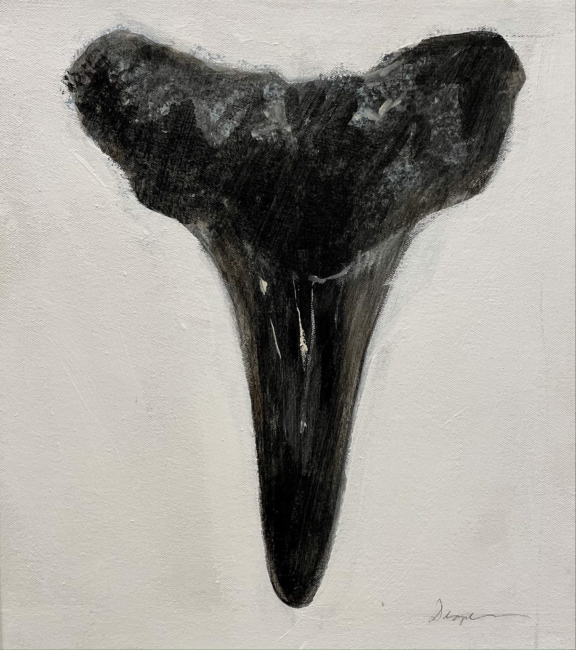 Shark Tooth no. 12 by Jim Draper