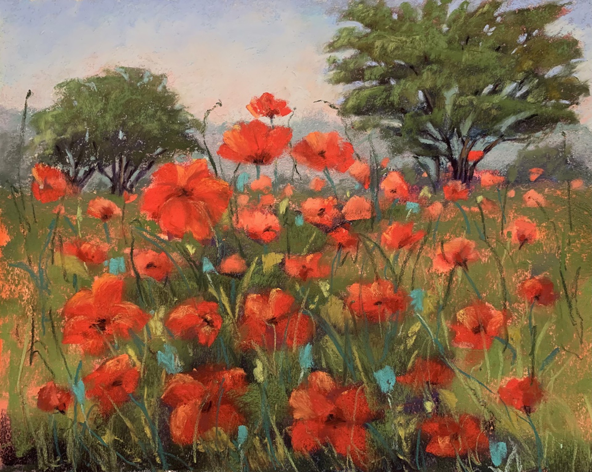 Red Poppies by Lydia Bourn