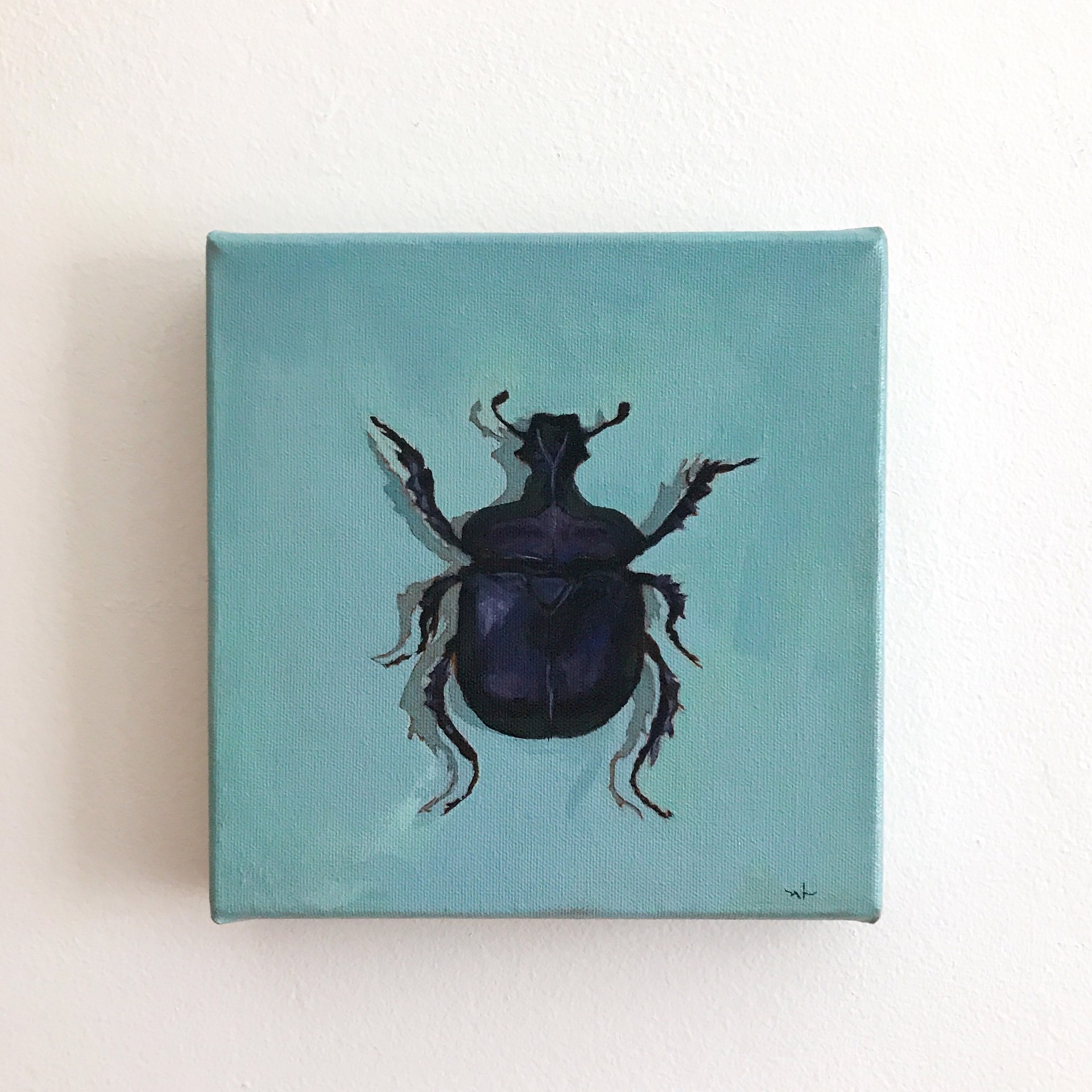 Scarab Beetle by Noelle Holler