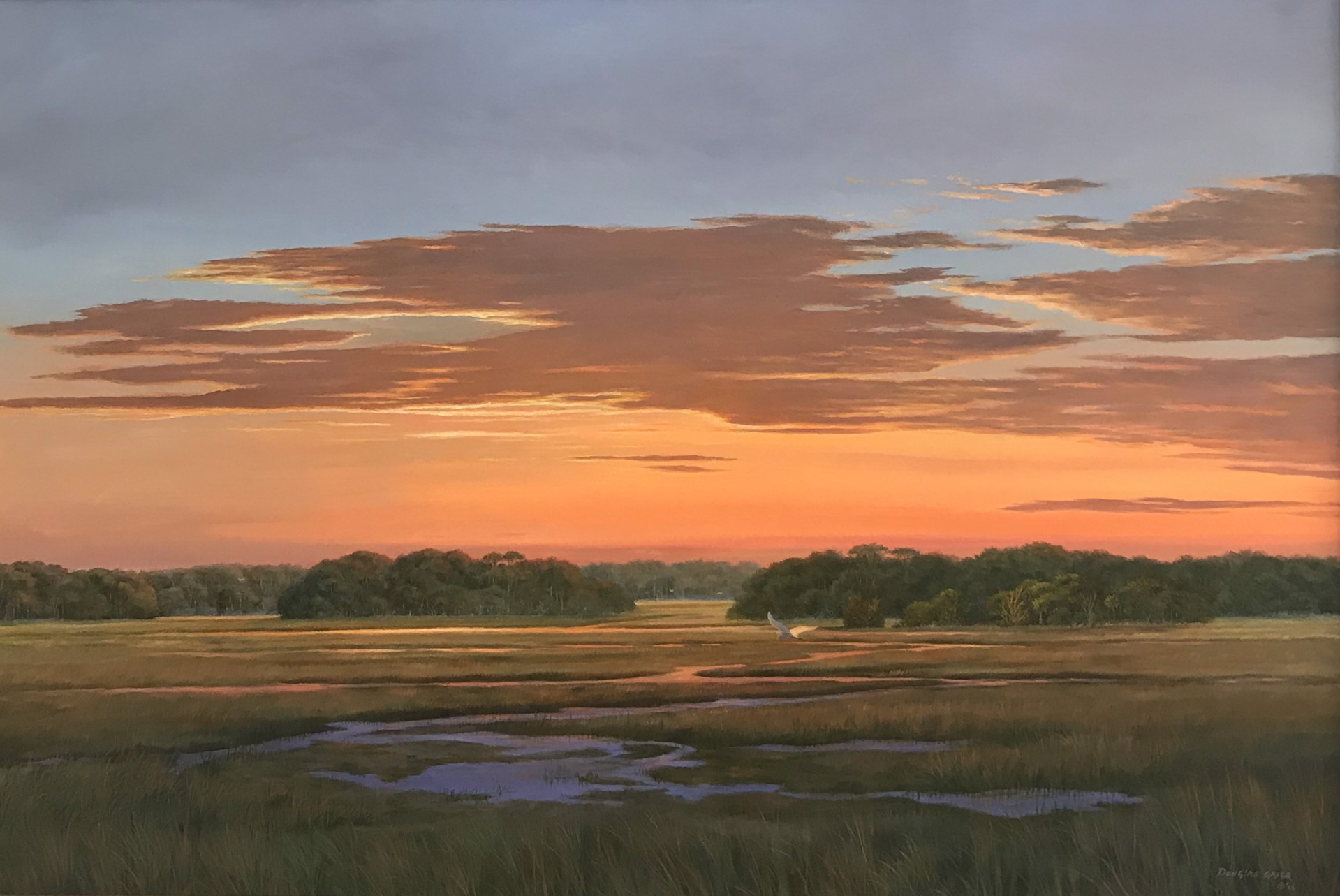 Sunset Flight by Douglas Grier