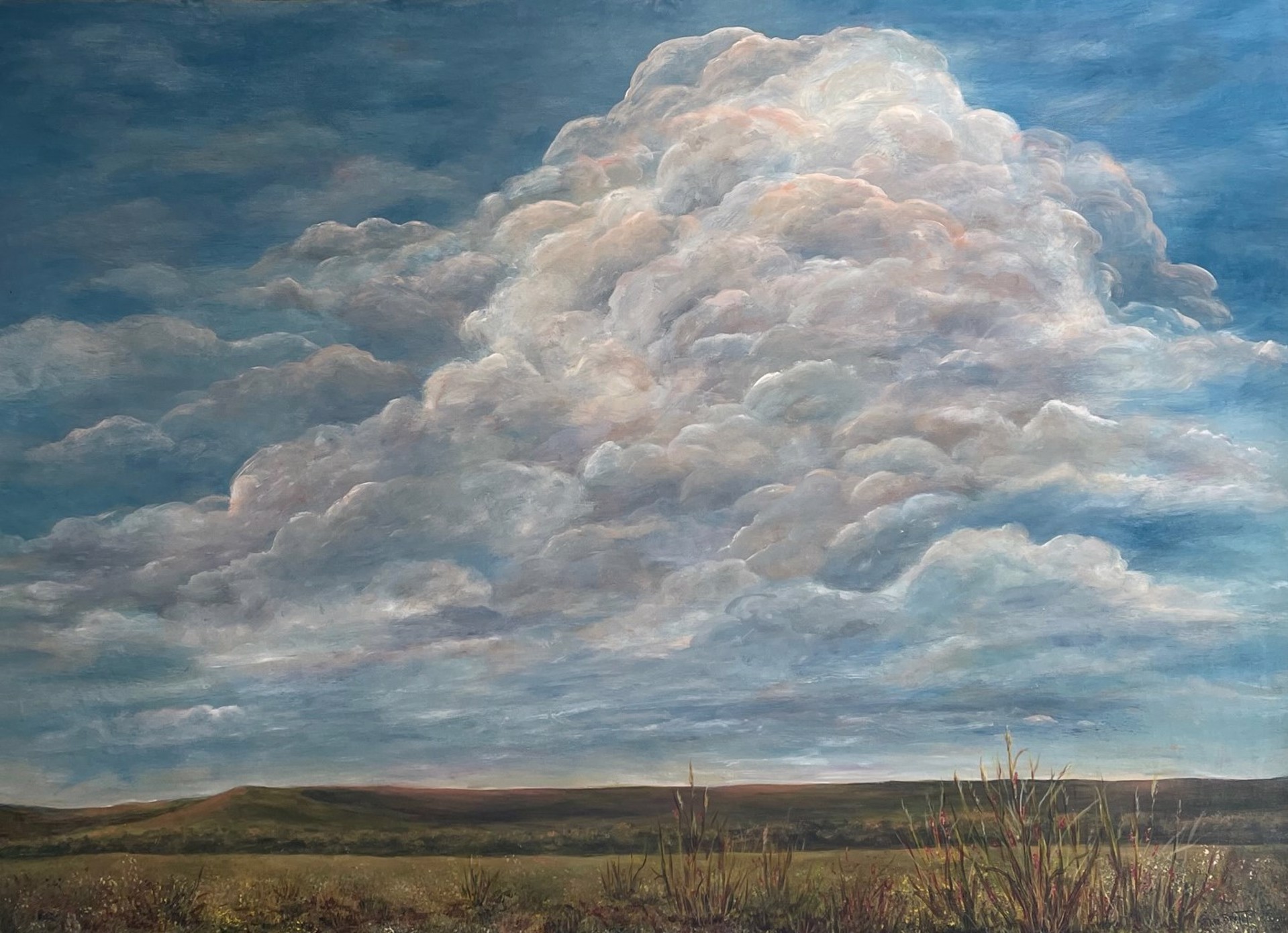 Cumulus Clouds by Pam Brant