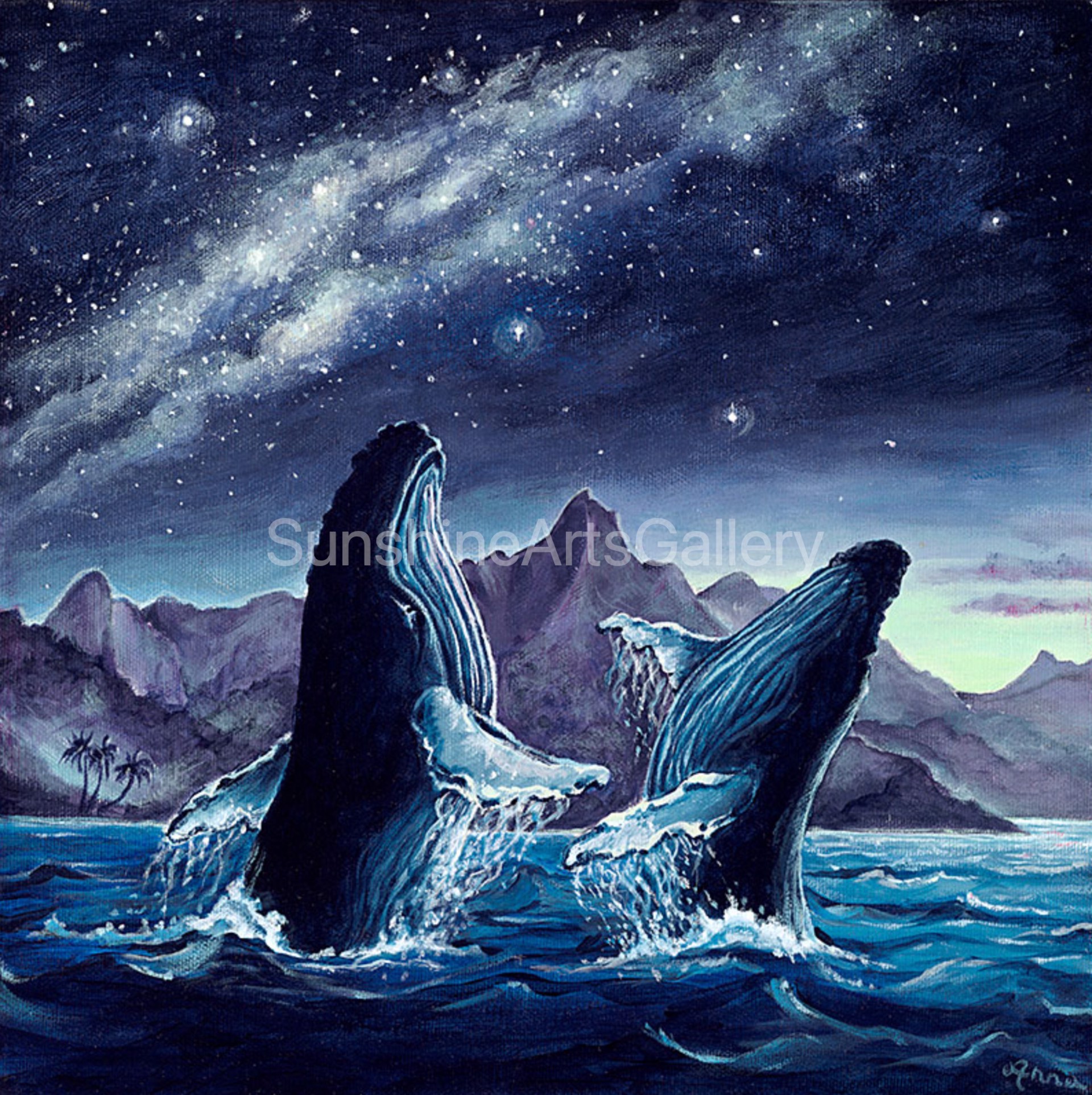 Dancing with the Stars by Anna Fuernsteiner