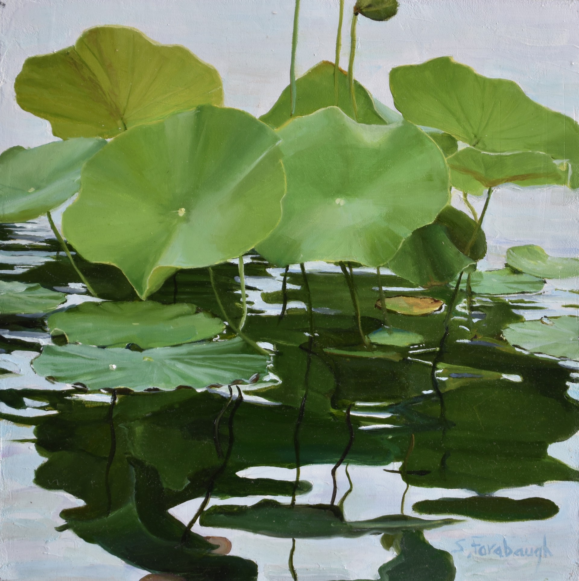 Lotus Leaves by Sheri Farabaugh