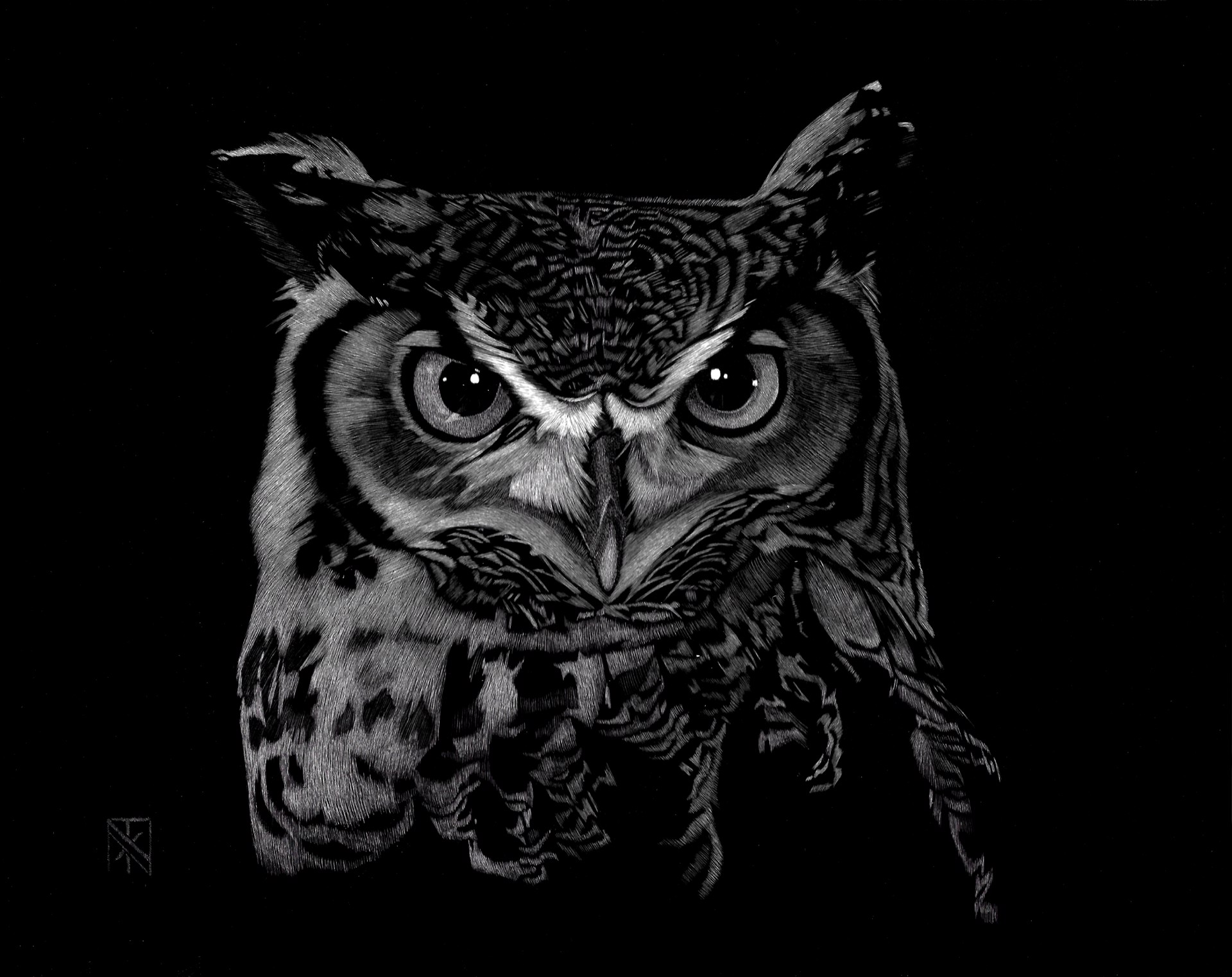 Wise Guy by Nelson Tucker