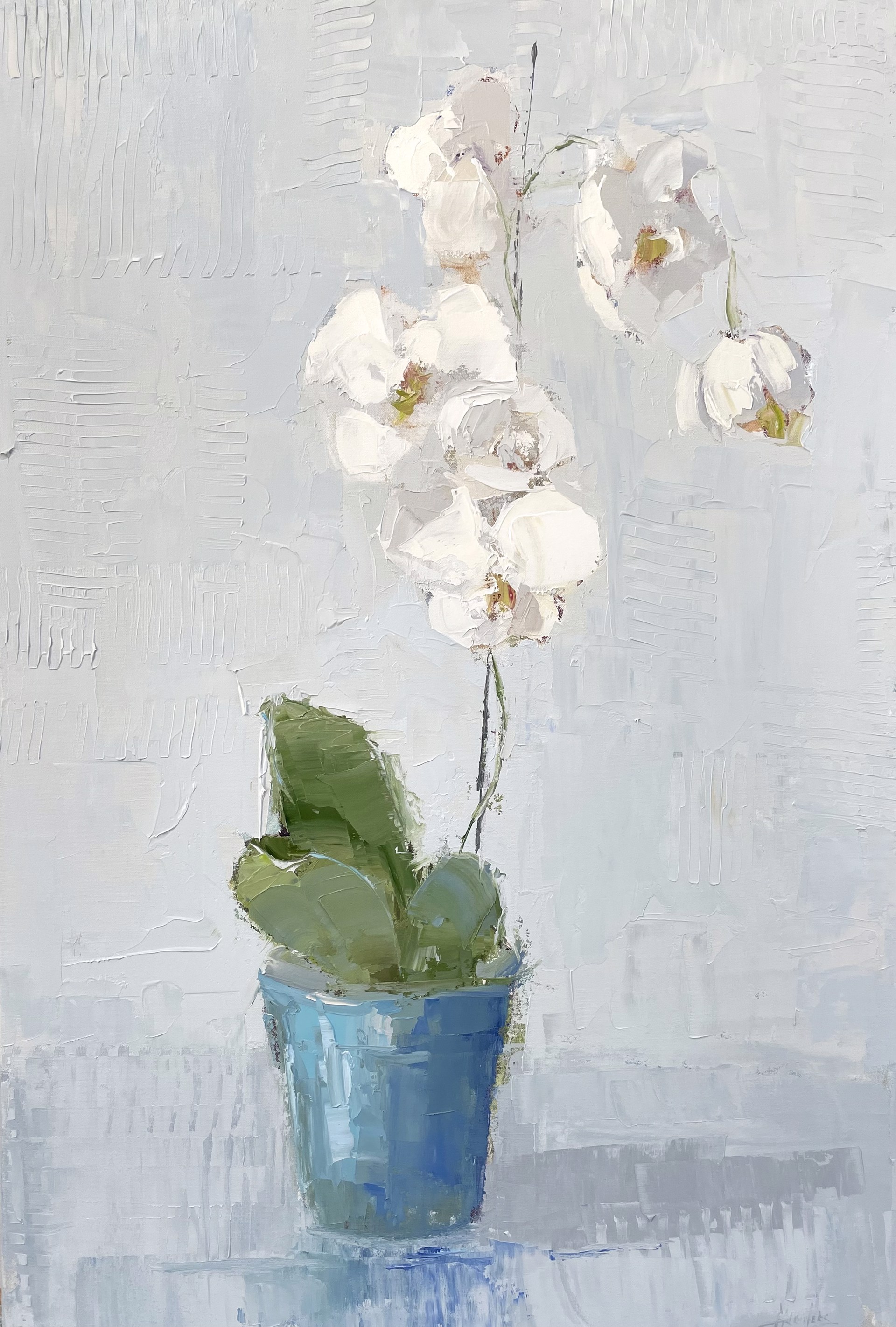 Orchid In White Room by Barbara Flowers